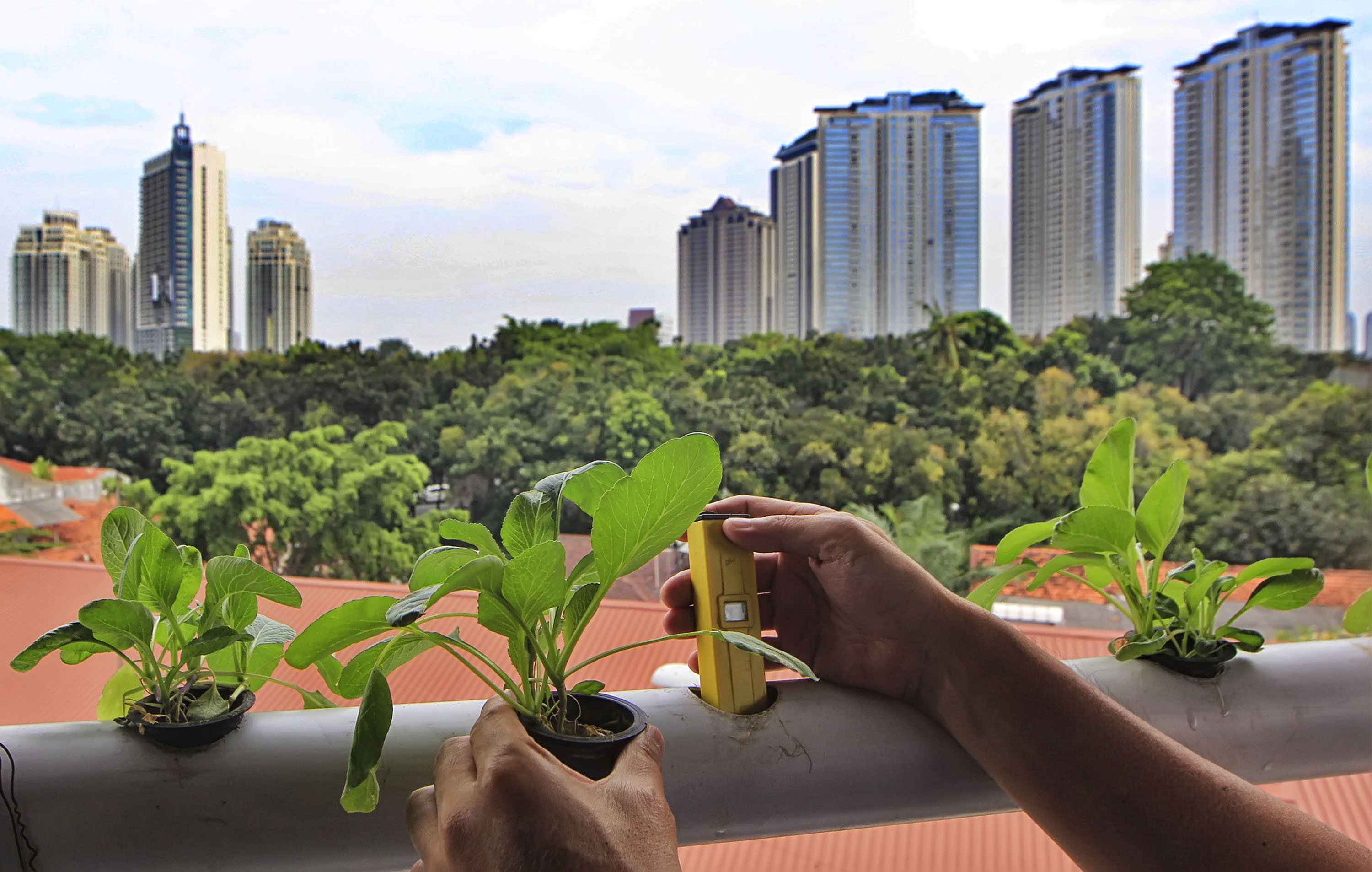 Juara 1 Kategori Dwi Pambudo Dengan Judul Urban Farming