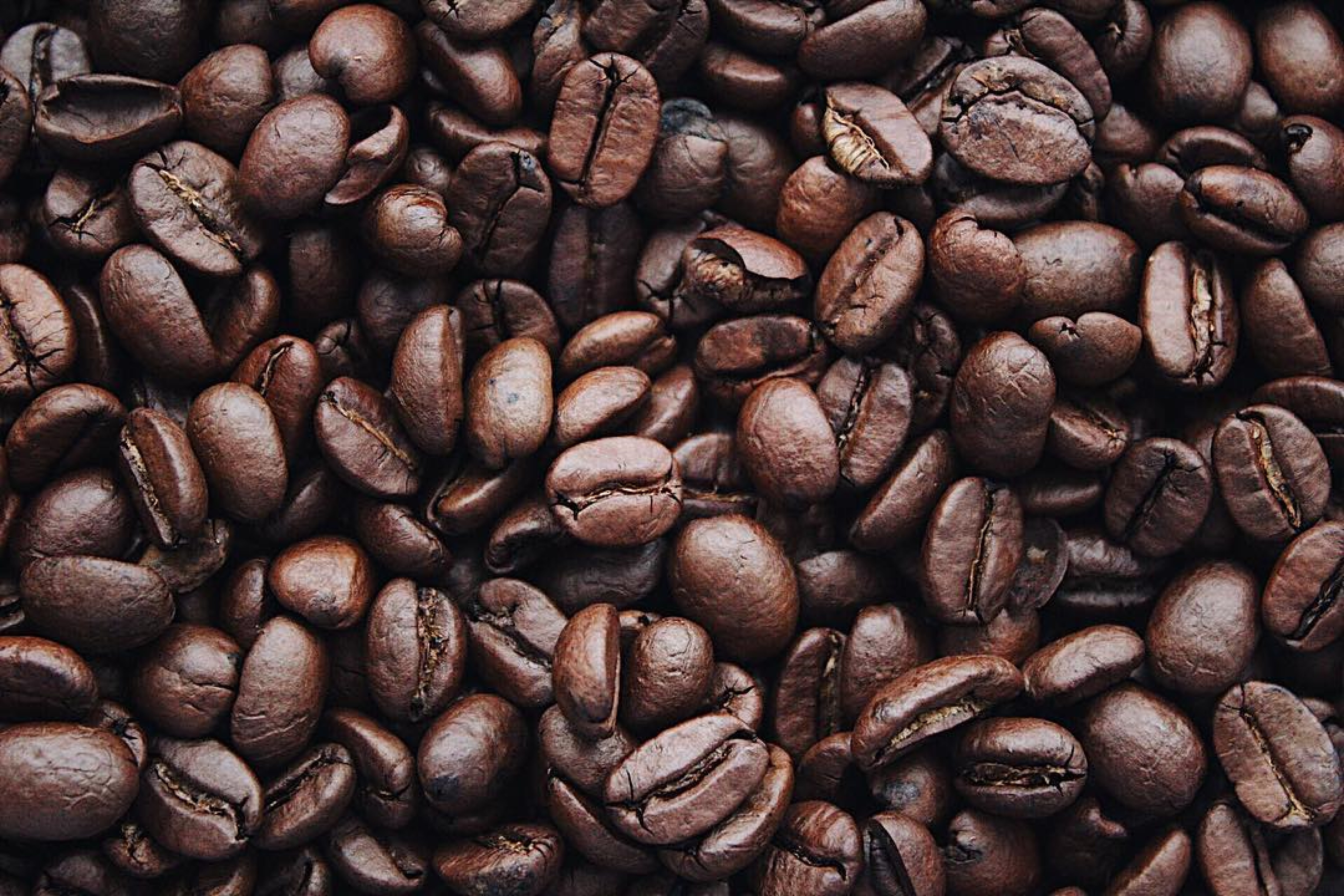 Kopi - (Photo by Igor Haritanovich on Pexels)