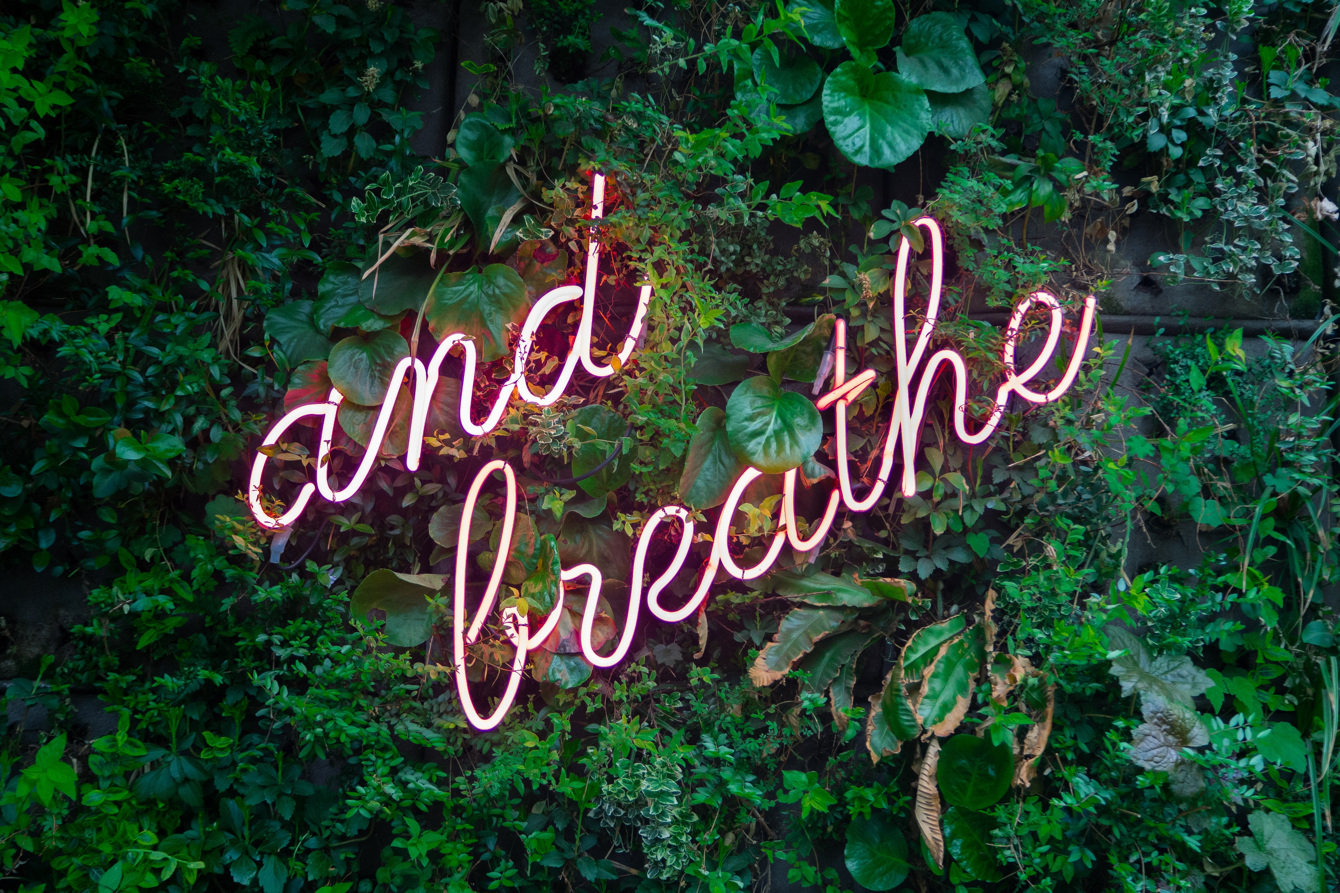 (Unsplash/Max Van Den Ootelar) 