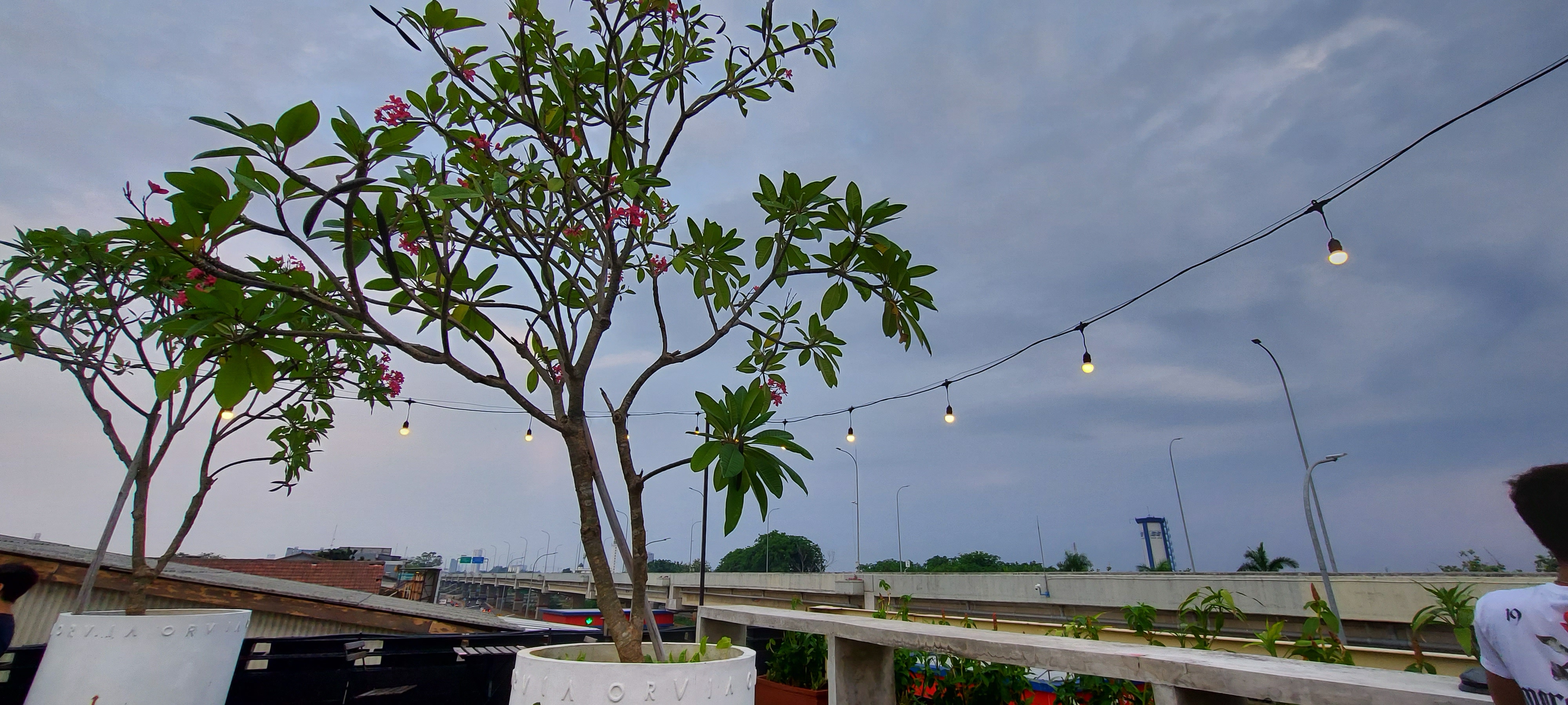 Suasana rooftop ORVIA, Kalimalang, Jakarta Timur (dok: Hypeabis/Rezha Hadyan)