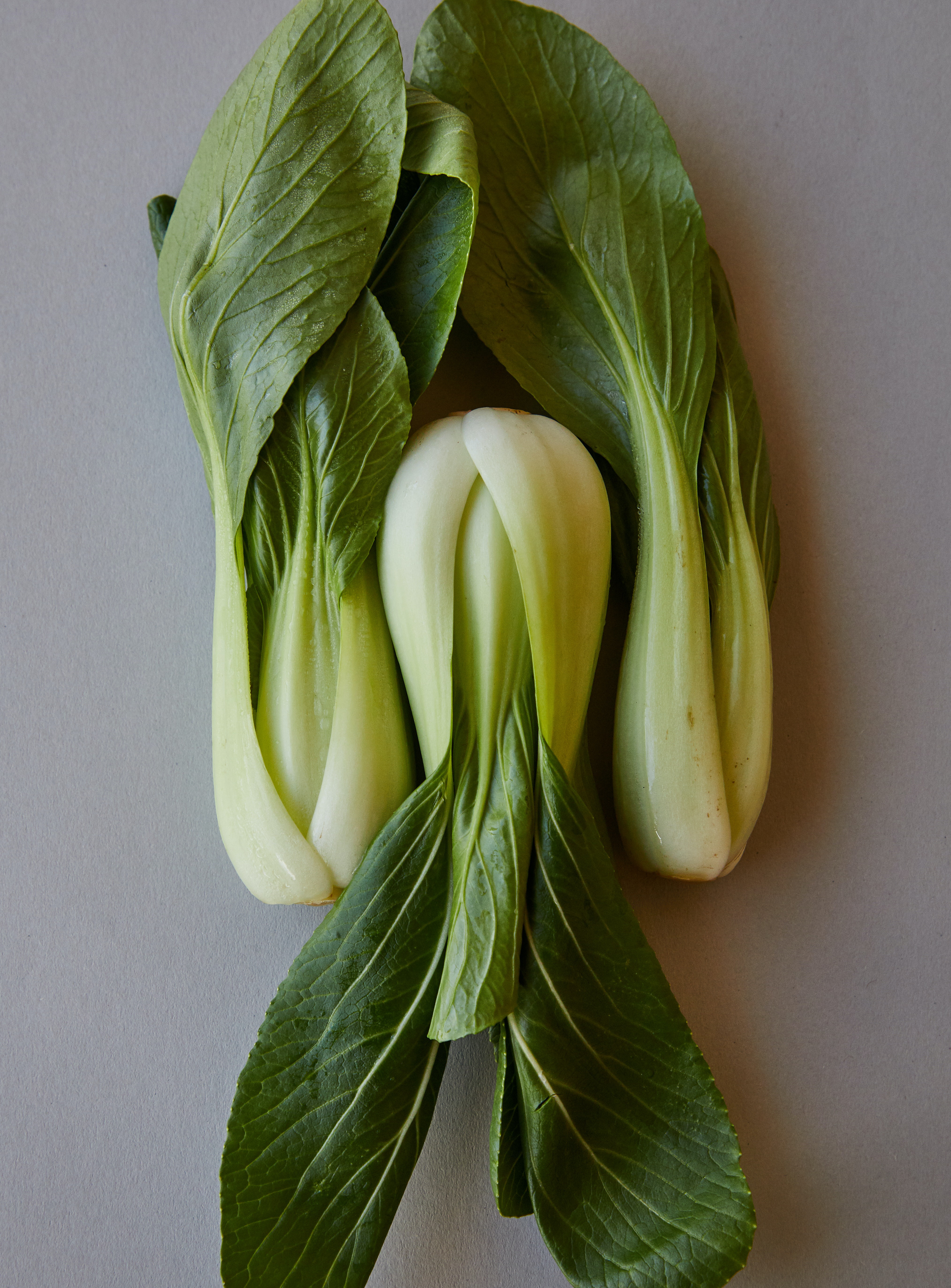 Ilustrasi sayur bok choy. (Dok. Laker dari Pexels)