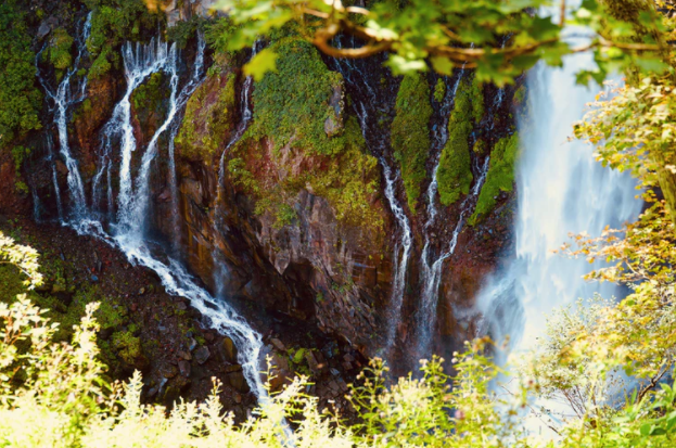@ptphotography (Unsplash)