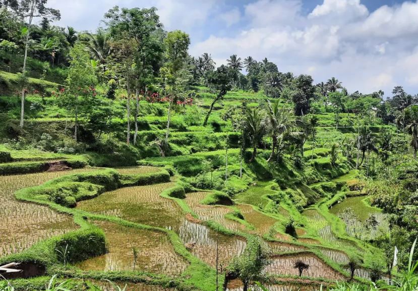 Panorama Desa Wisata Tete Batu (Dok. Lombok Riviera/Instagram)