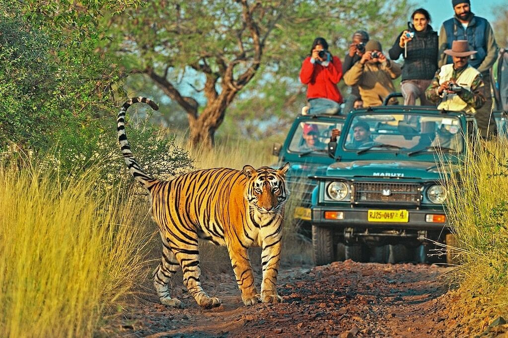Taman Nasional Rathambore (Rathamborepark.in)