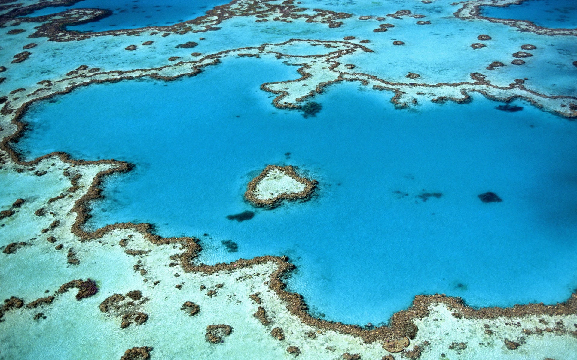 Taman Nasional Great Barrier Reef (Unsplash/Yanguang Lan)
