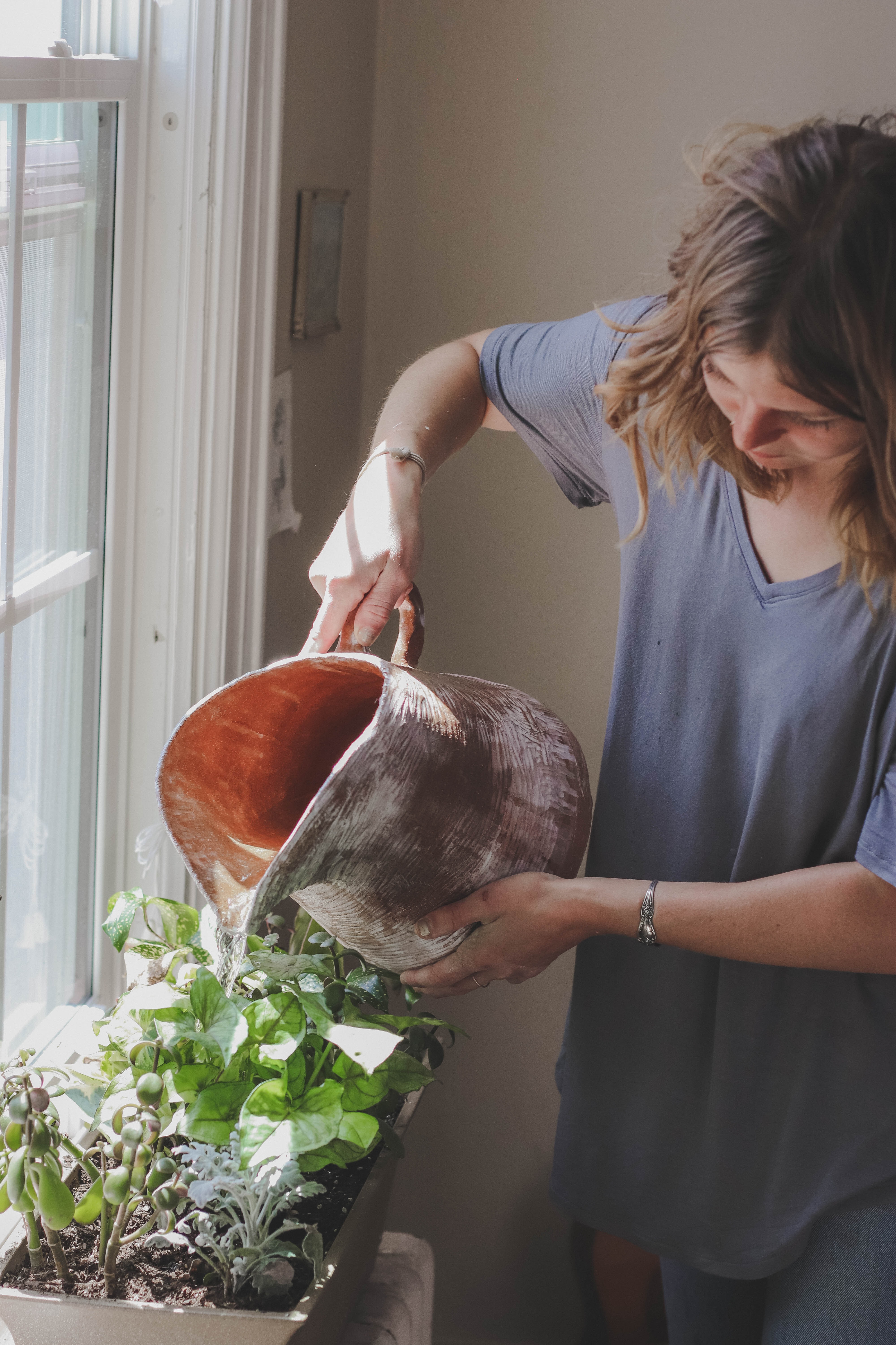 Air AC bisa digunakan untuk menyiram tanaman (Dok. Cassidy Phillips/Unsplash)