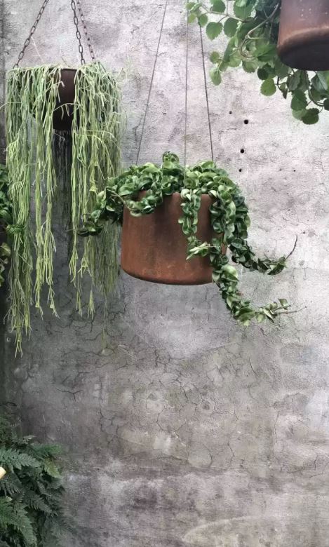 Dok. Planta
