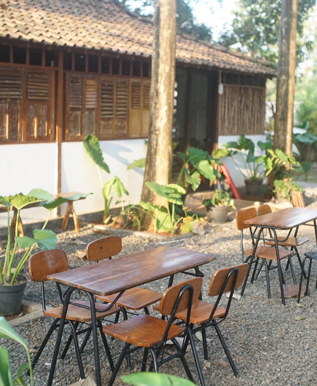 Dok. Little Wood Cafe