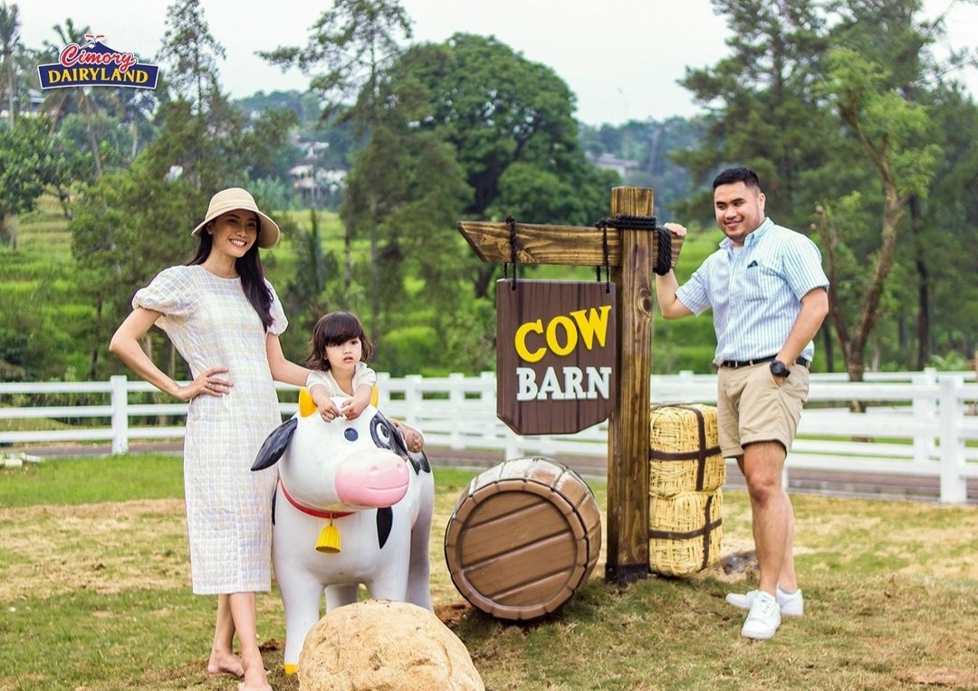 Dok. Cimory Dairyland
