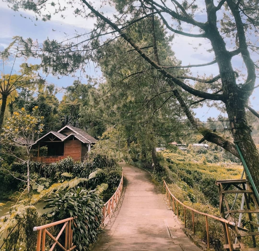 Dok. Melrimba Garden