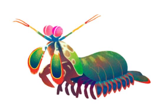 Sumber gambar: Google