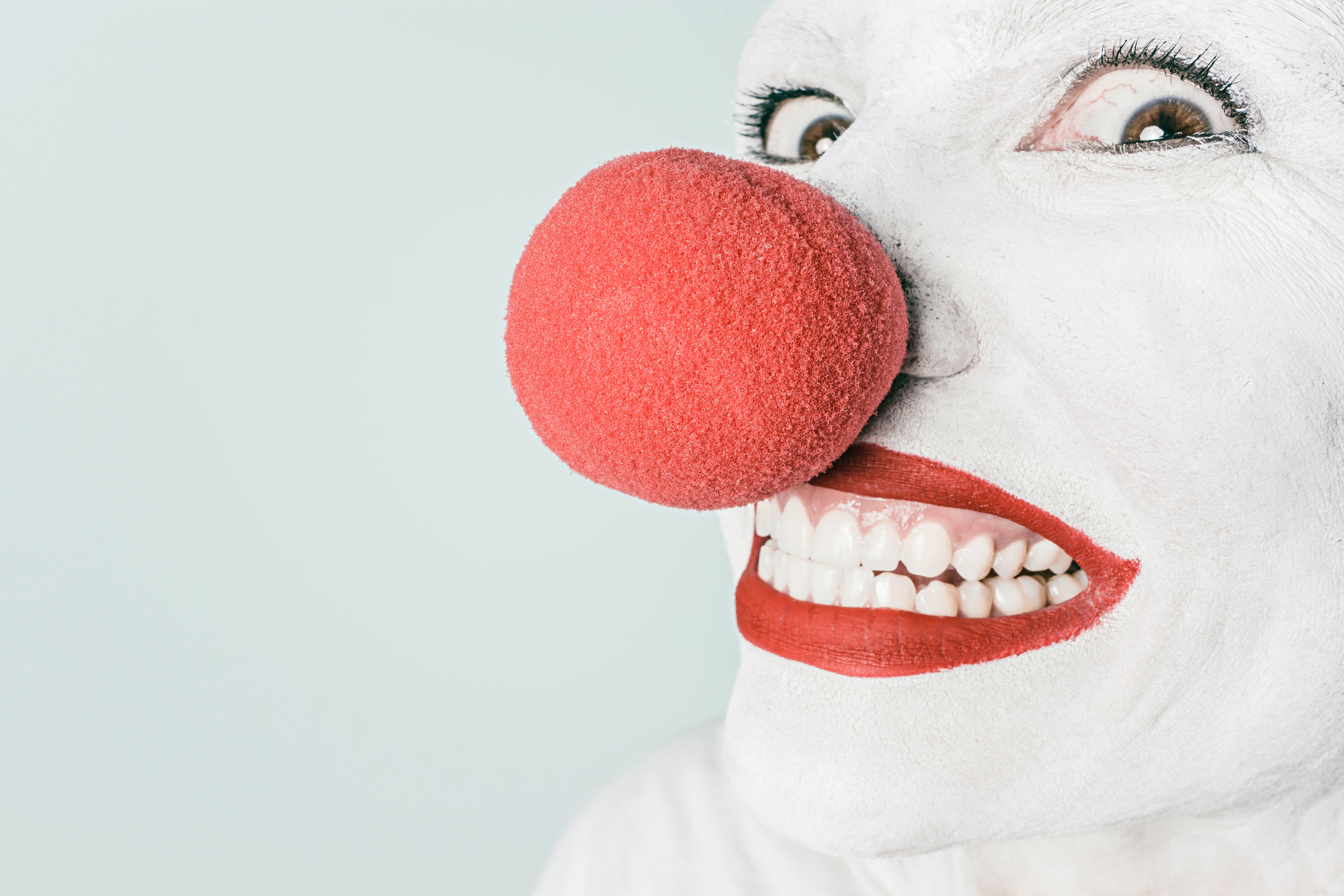 ilustrasi (Sumber gambar: gratisography/Pexels