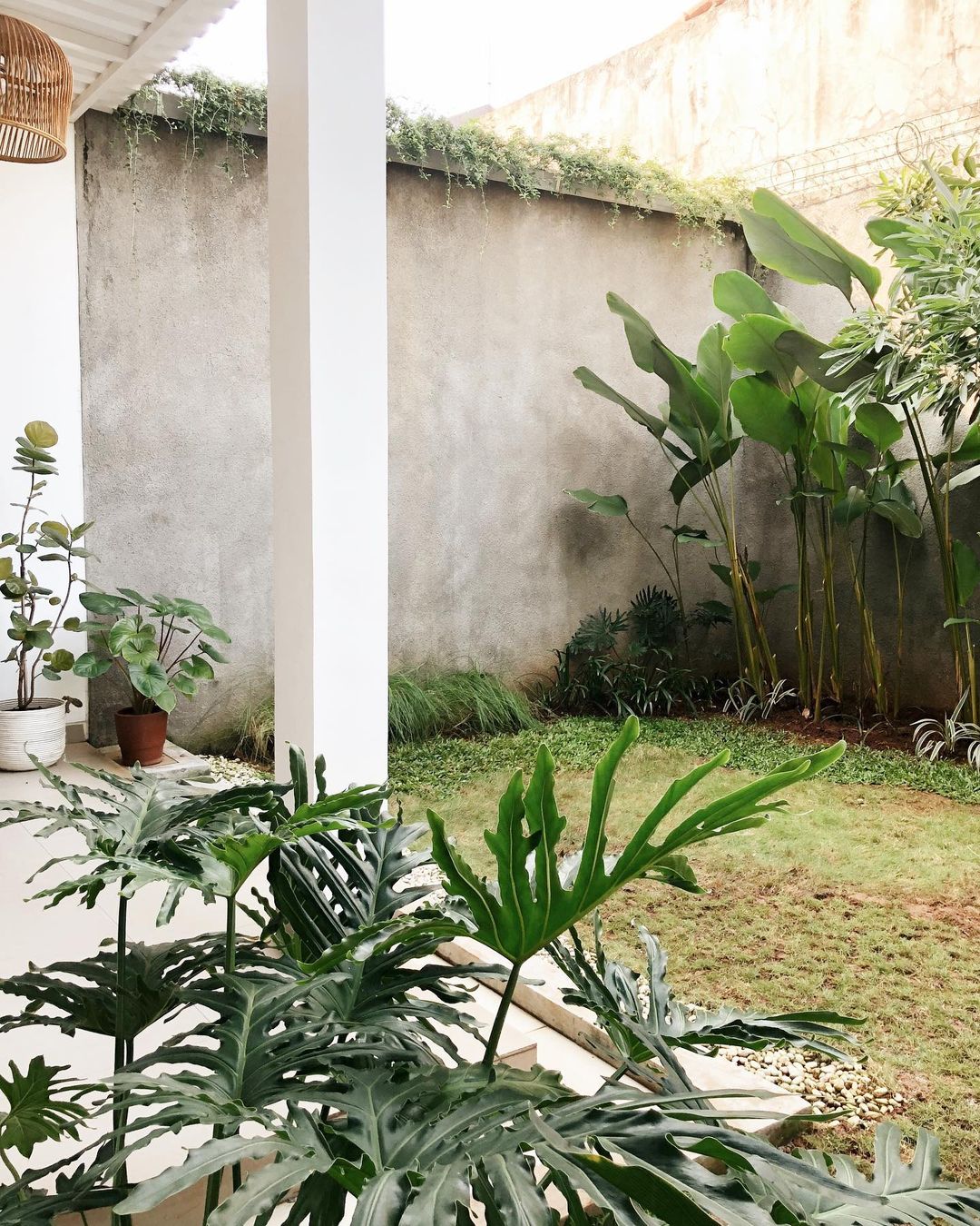 Sumber gambar: homuliving