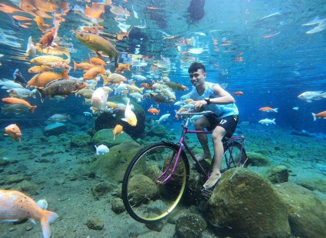 Wisata foto di bawah air di Umbul Ponggok (Sumber gambar: Umbul Ponggok/Instagram)