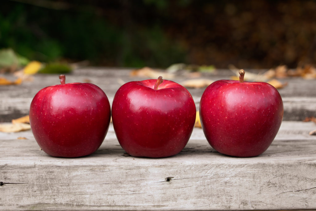Apel varietas Dazzle. (Sumber gambar: Dazzleapple.com)