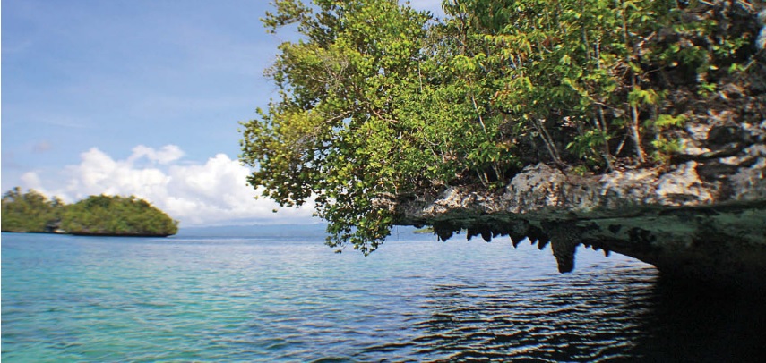 Lansekap karst di Teluk-Selat Kabui yang mempesona (sumber gambar: Hypeabis/Roni Yunianto)