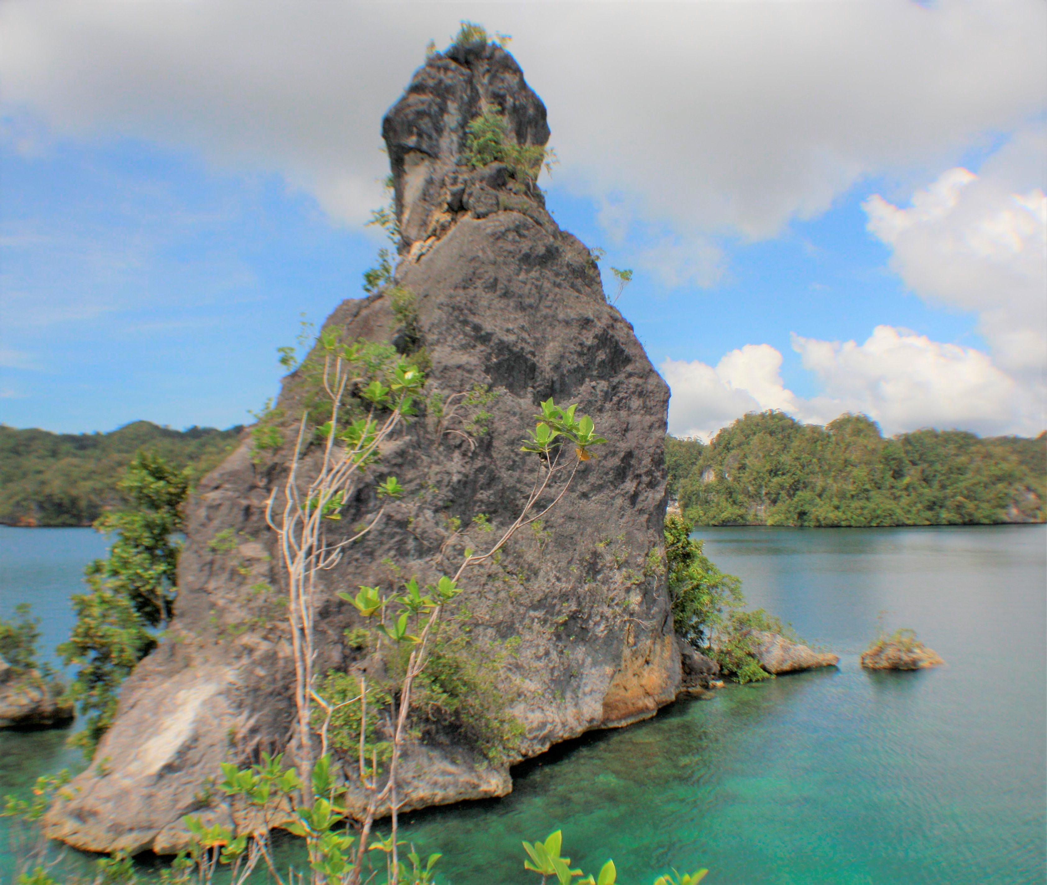 Karst Kabui (sumber gambar: Hypeabis/Roni Yunianto)