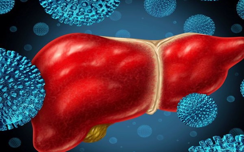 Ilustrasi Hepatitis B/Istimewa
