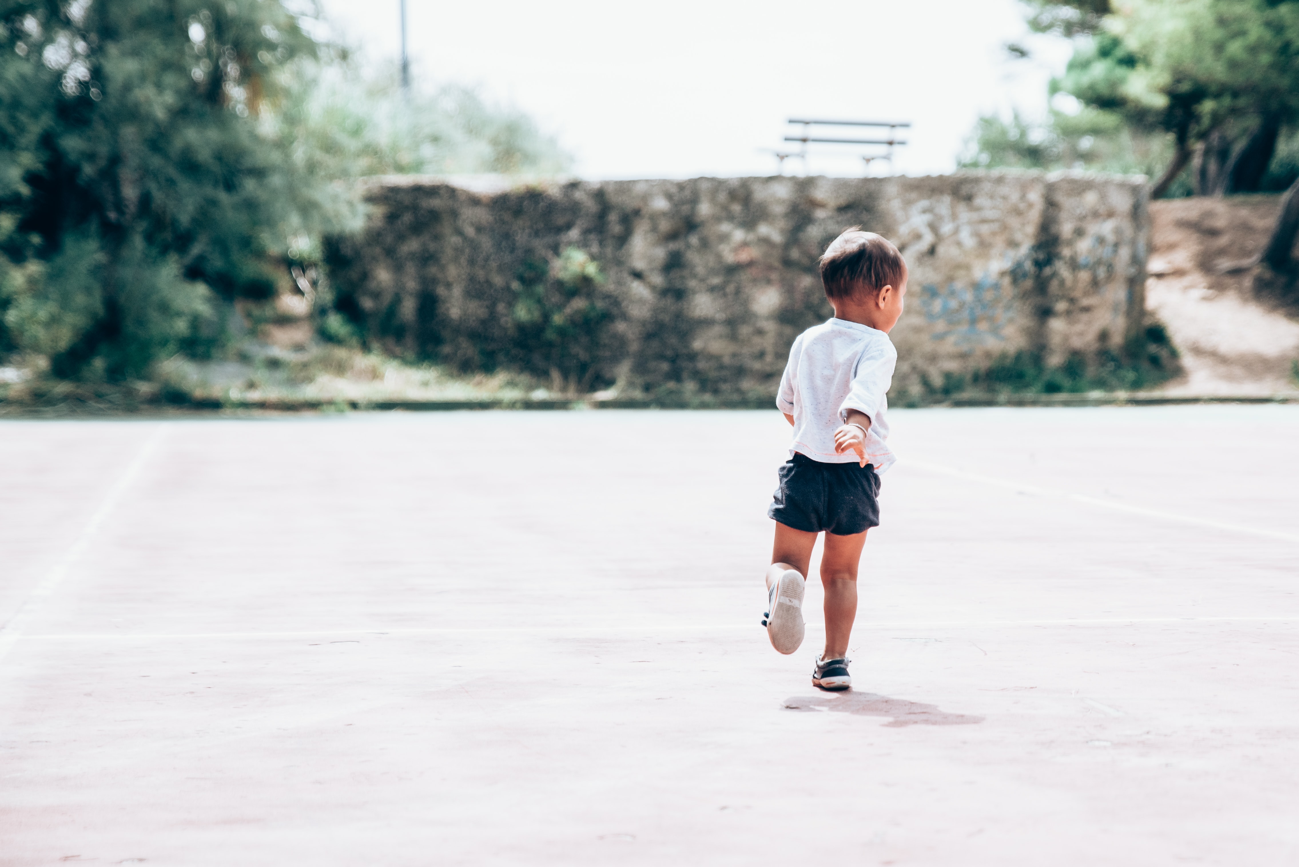 (Sumber gambar: Guillaume de Germain/Unsplash)