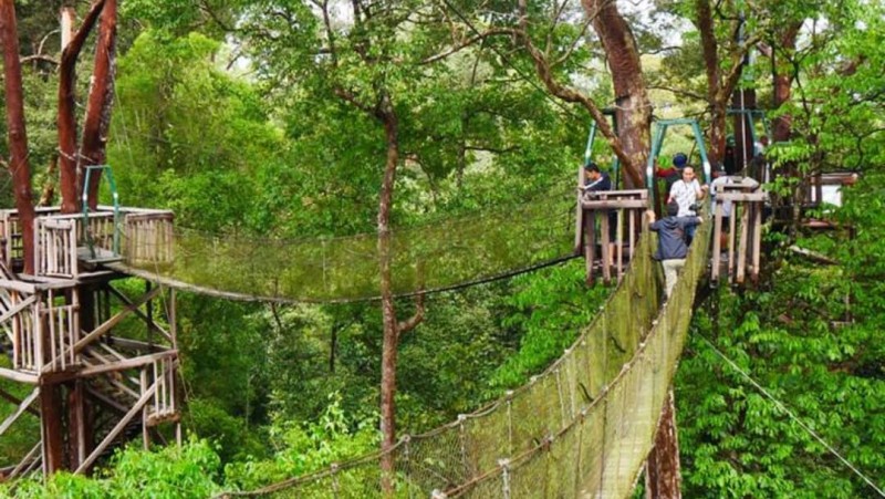 Bukit Bangkirai (Sumber gambar: Fathur/HumasProvKaltim)
