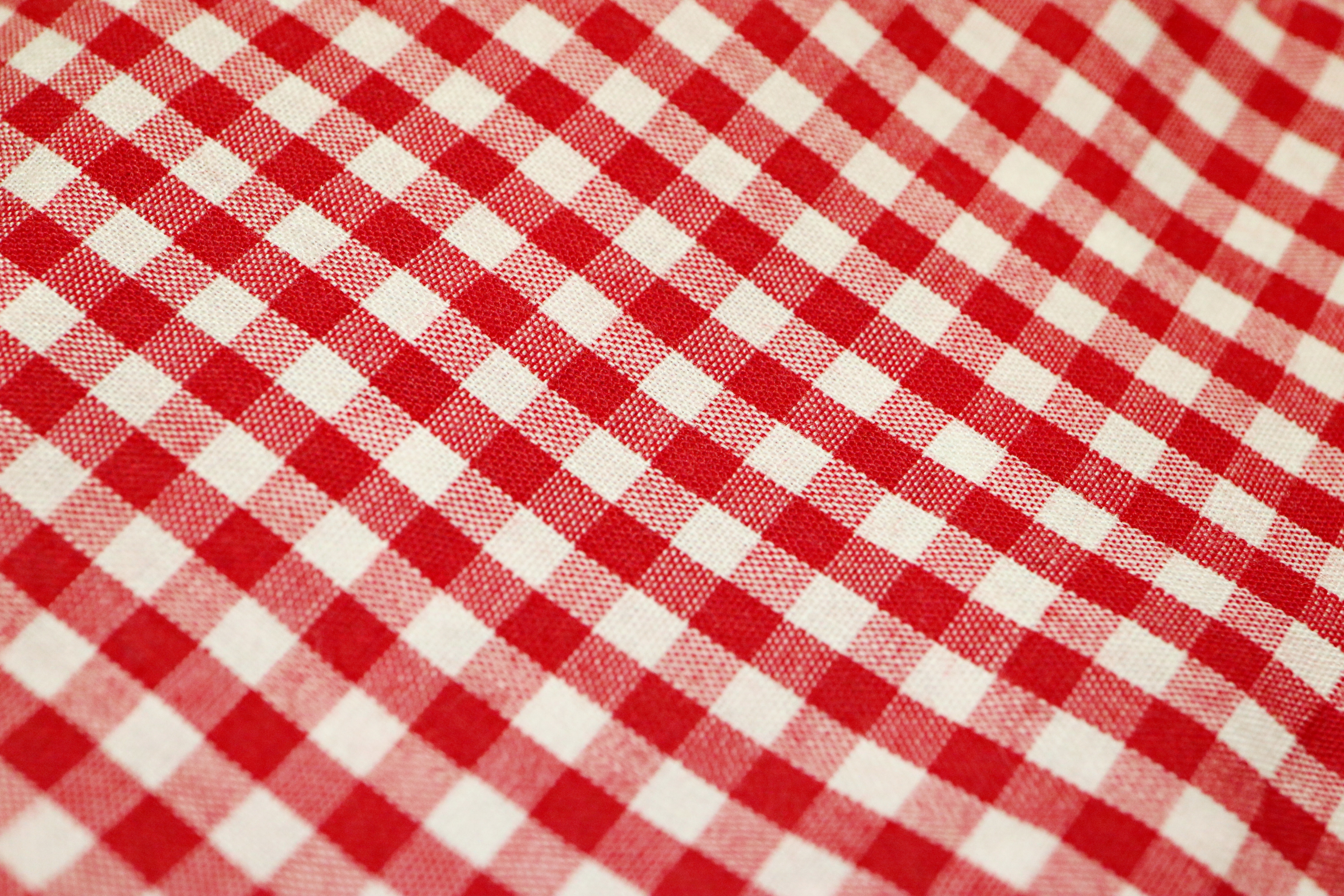 Motif gingham (Sumber gambar: Dagny Reese/Unsplash)