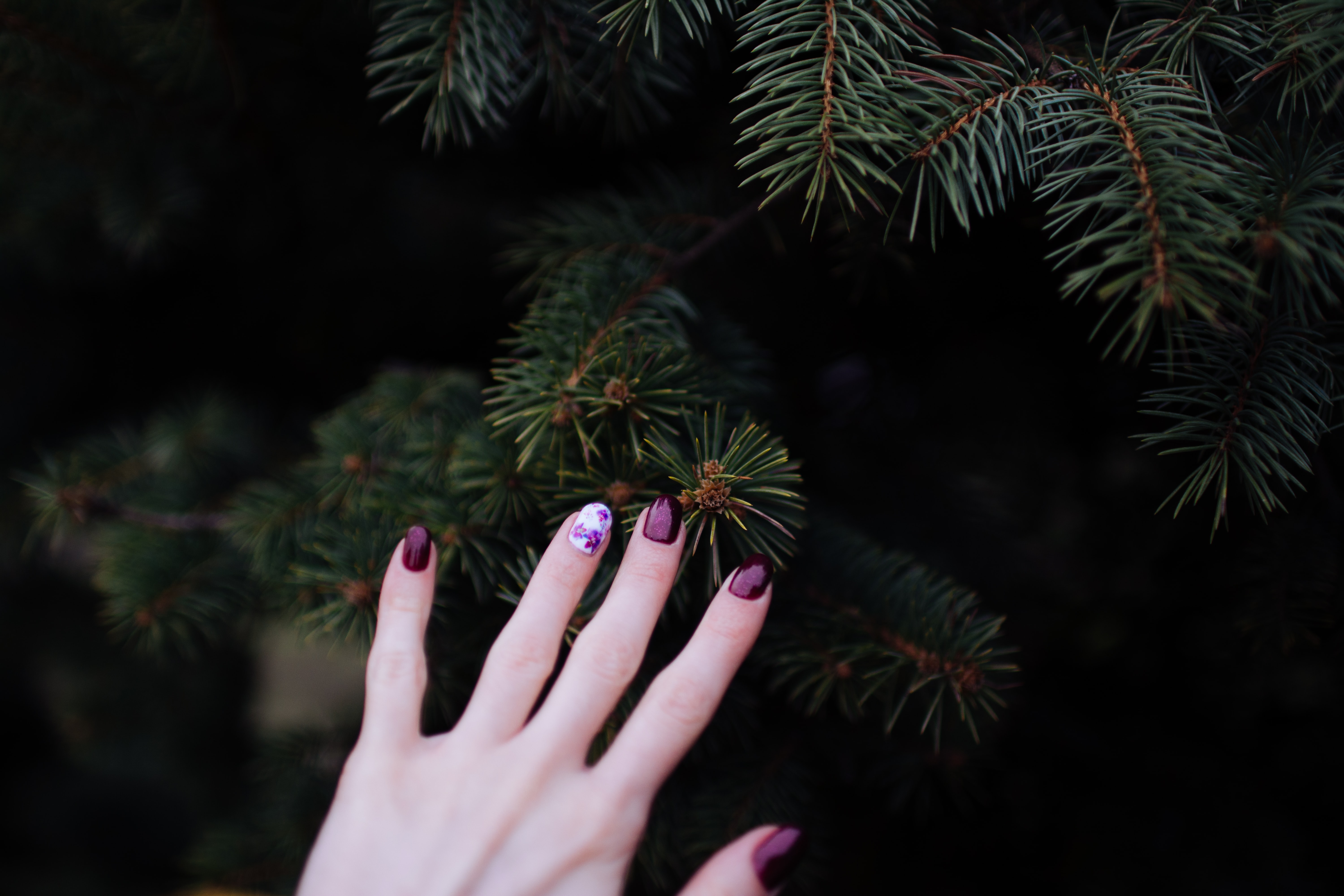 Ilustrasi nail art(Julia Kutsaeva/Unsplash)
