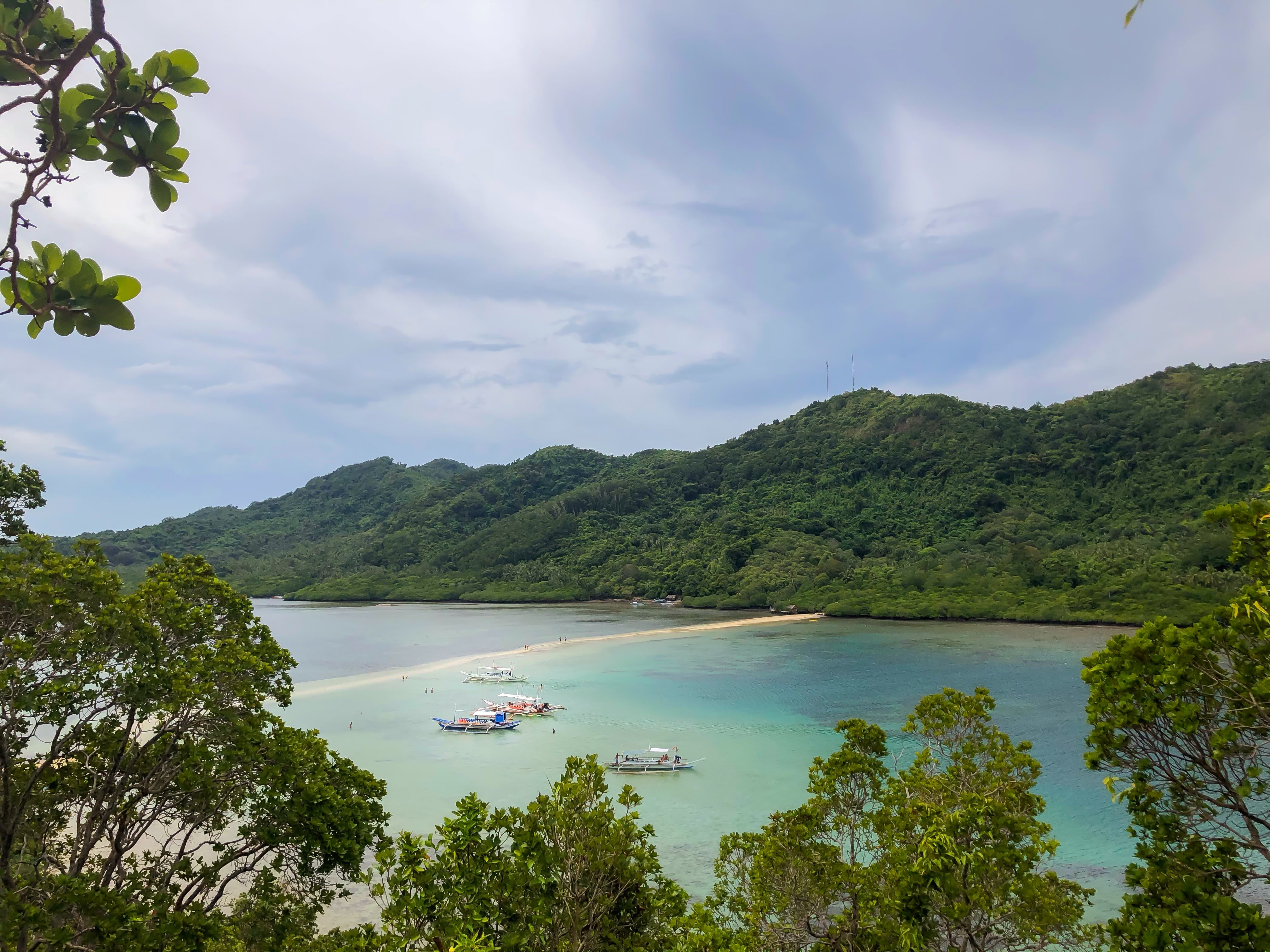 Snake island (Sumber gambar: Carla Franciso/Unsplash)