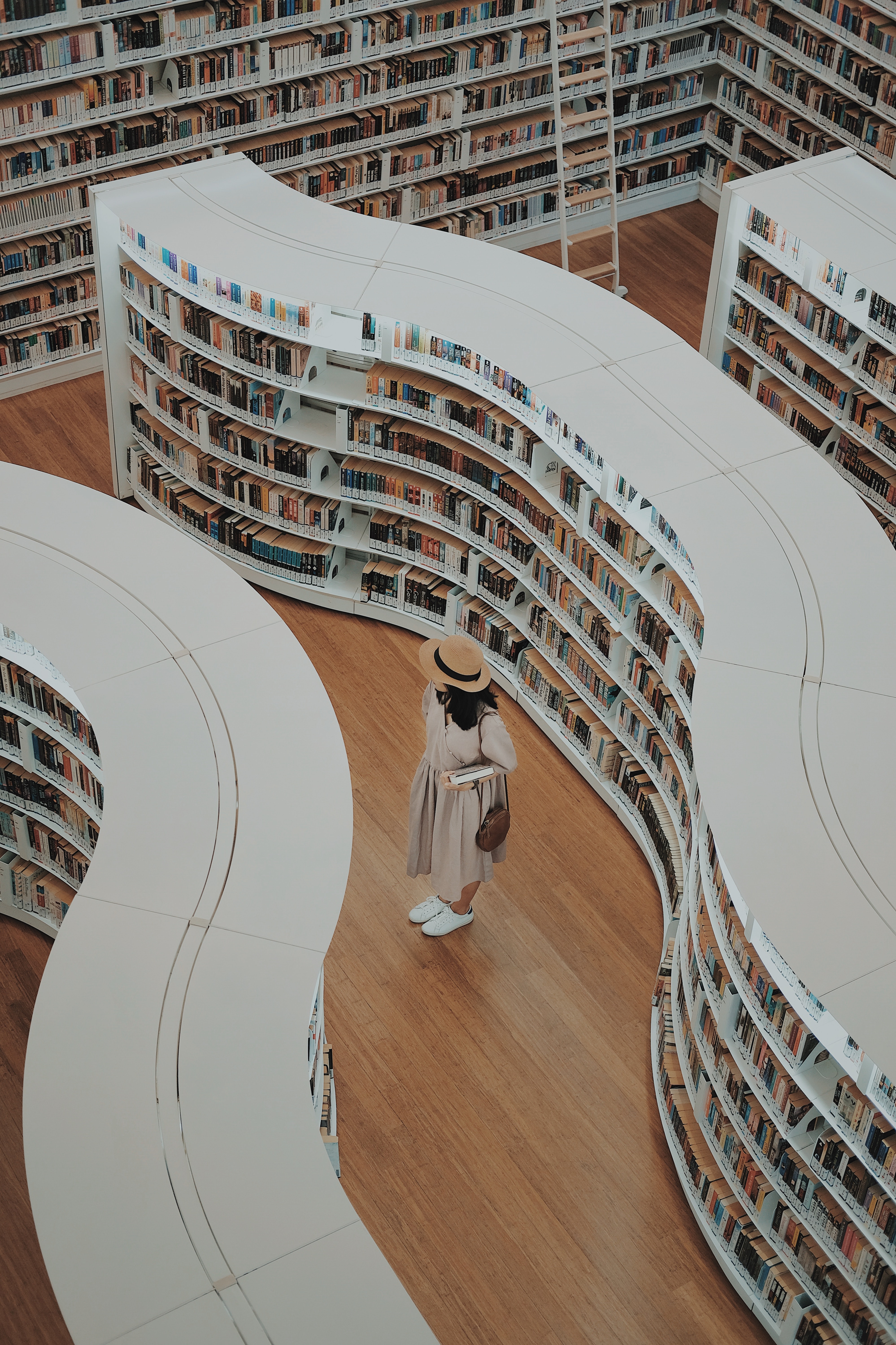 Ilustrasi rak buku (sumber gambar Unsplash/Arif Riyanto)