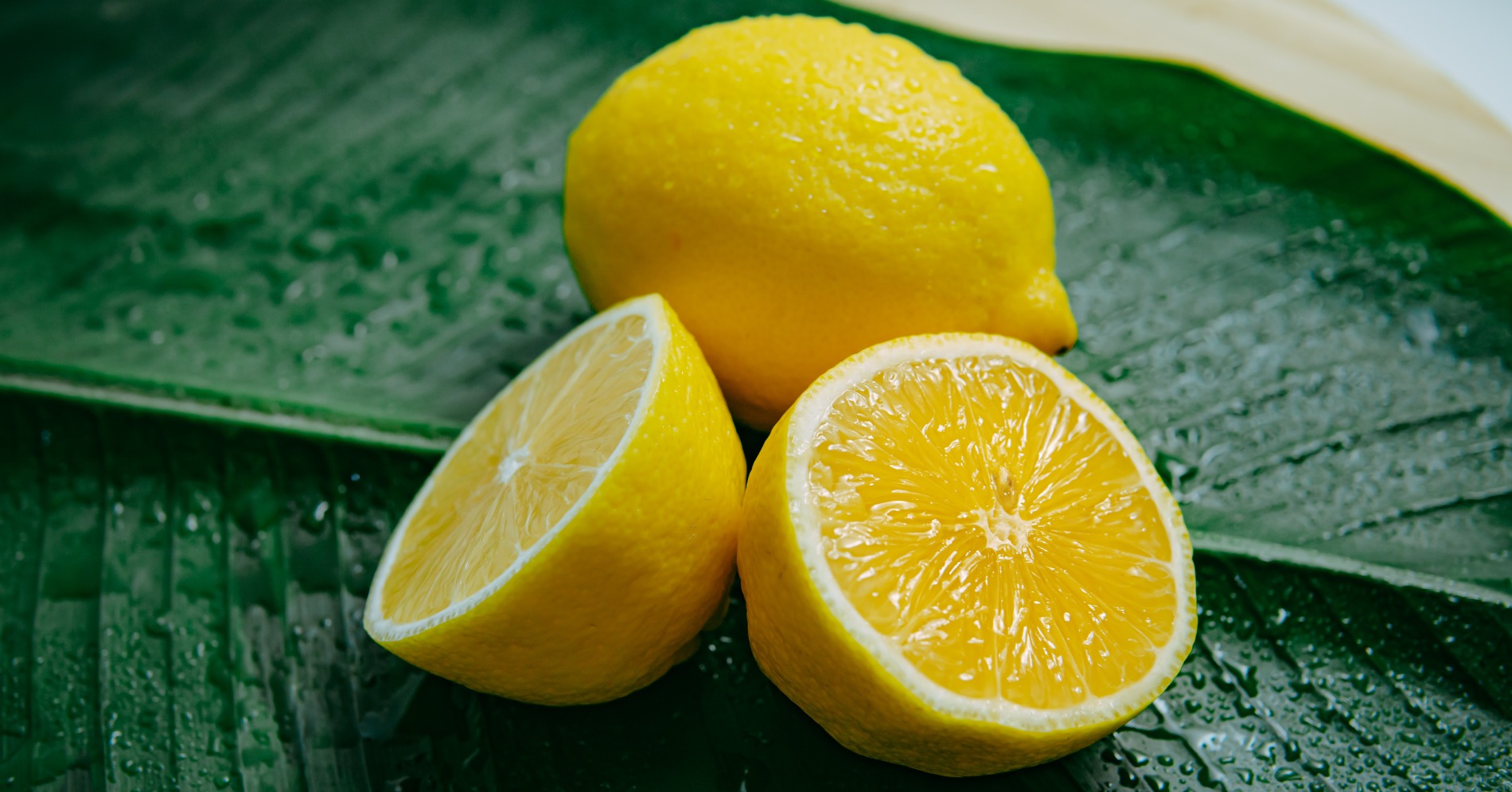 Lemon (Sumber gambar: Han Lahandoe/Unsplash)