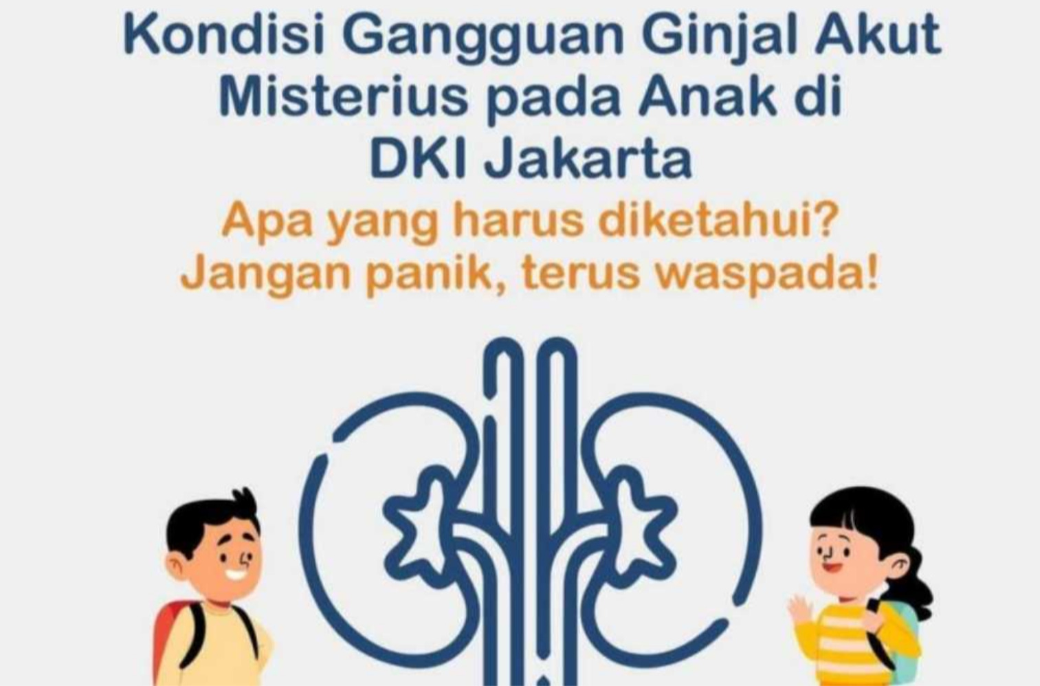 Ilustrasi bahaya gagal ginjal akut
