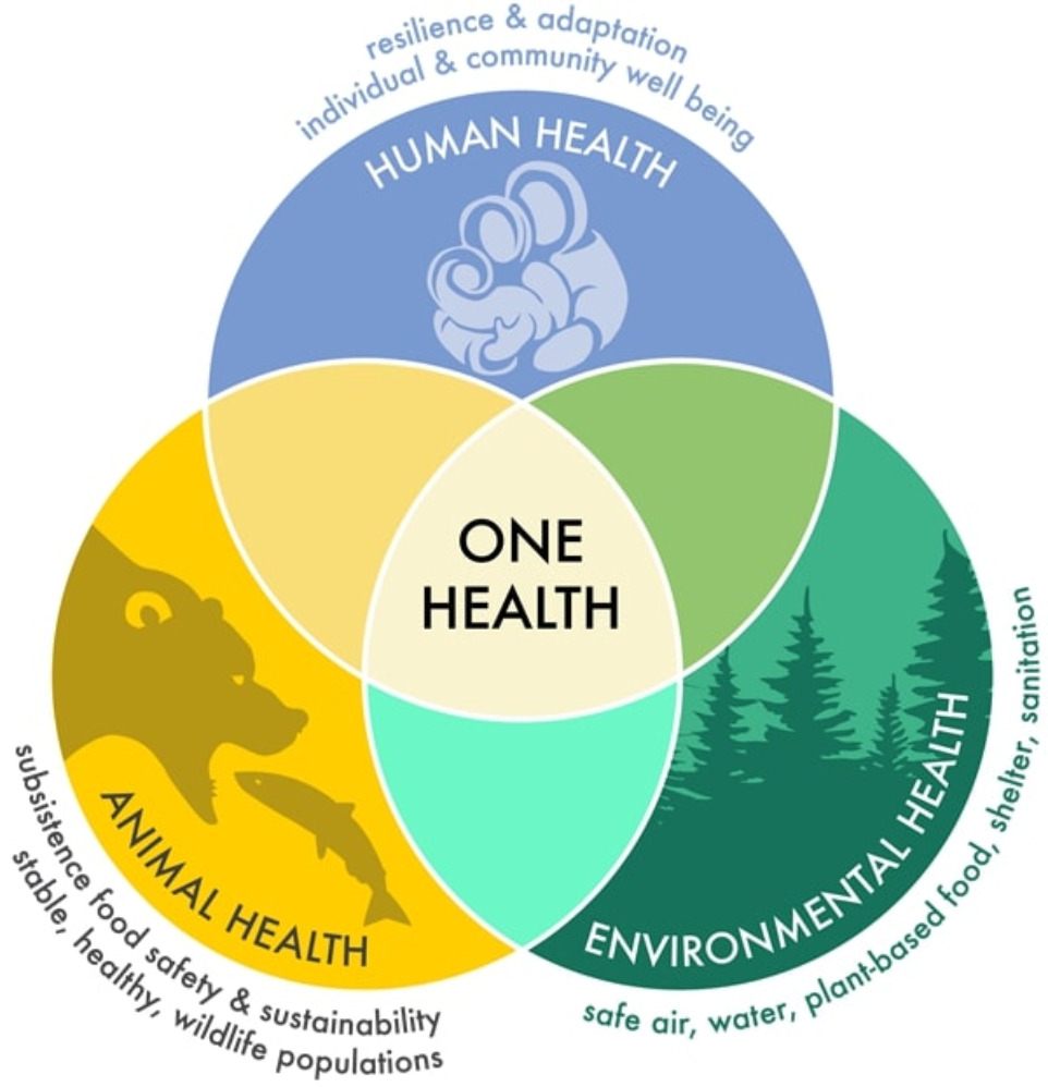 (Ilustrasi Diagram One Health/ CDC.govt)