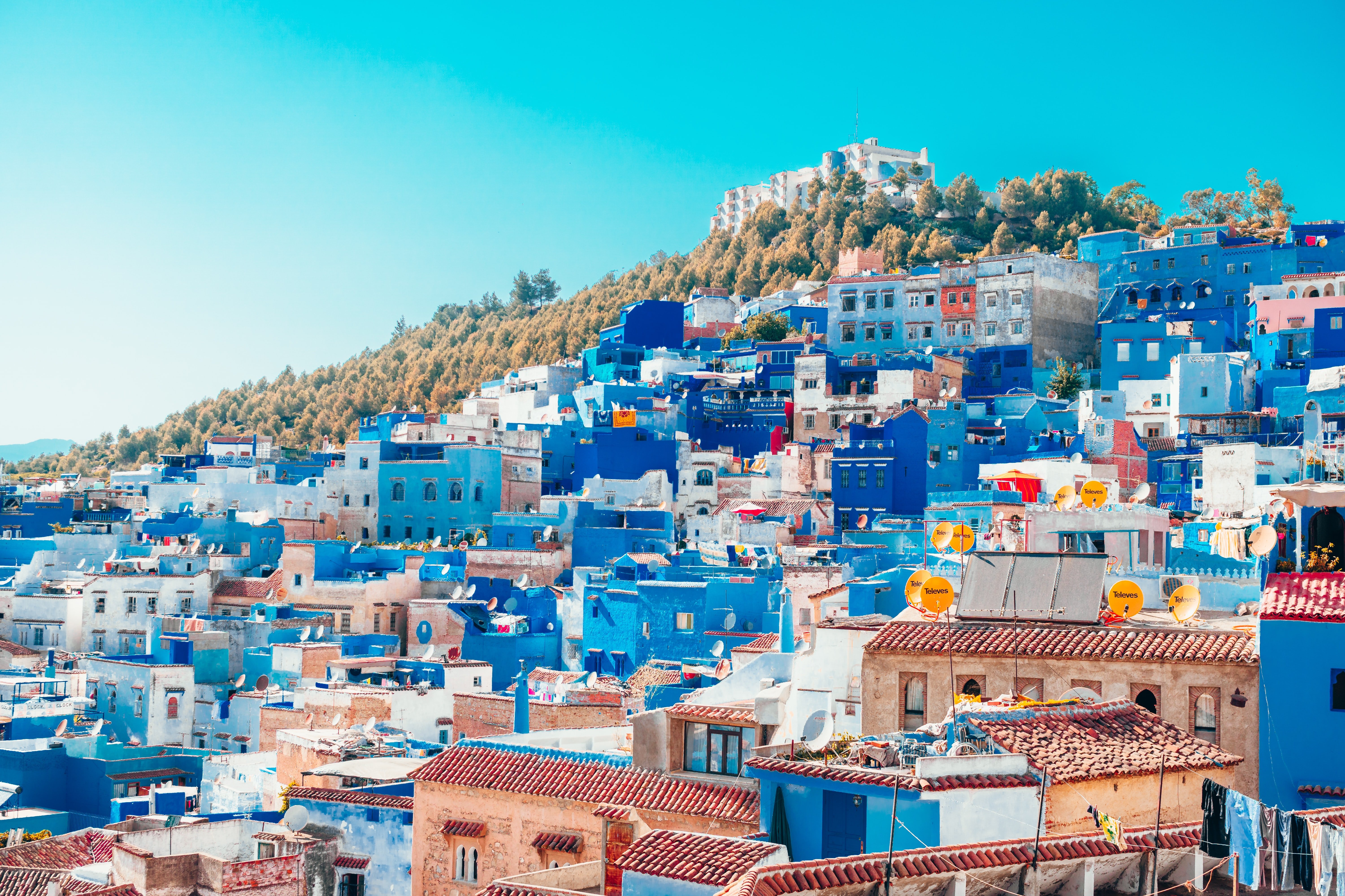 iustrasi sumber gambar (Unsplash/Heidi Kaden)