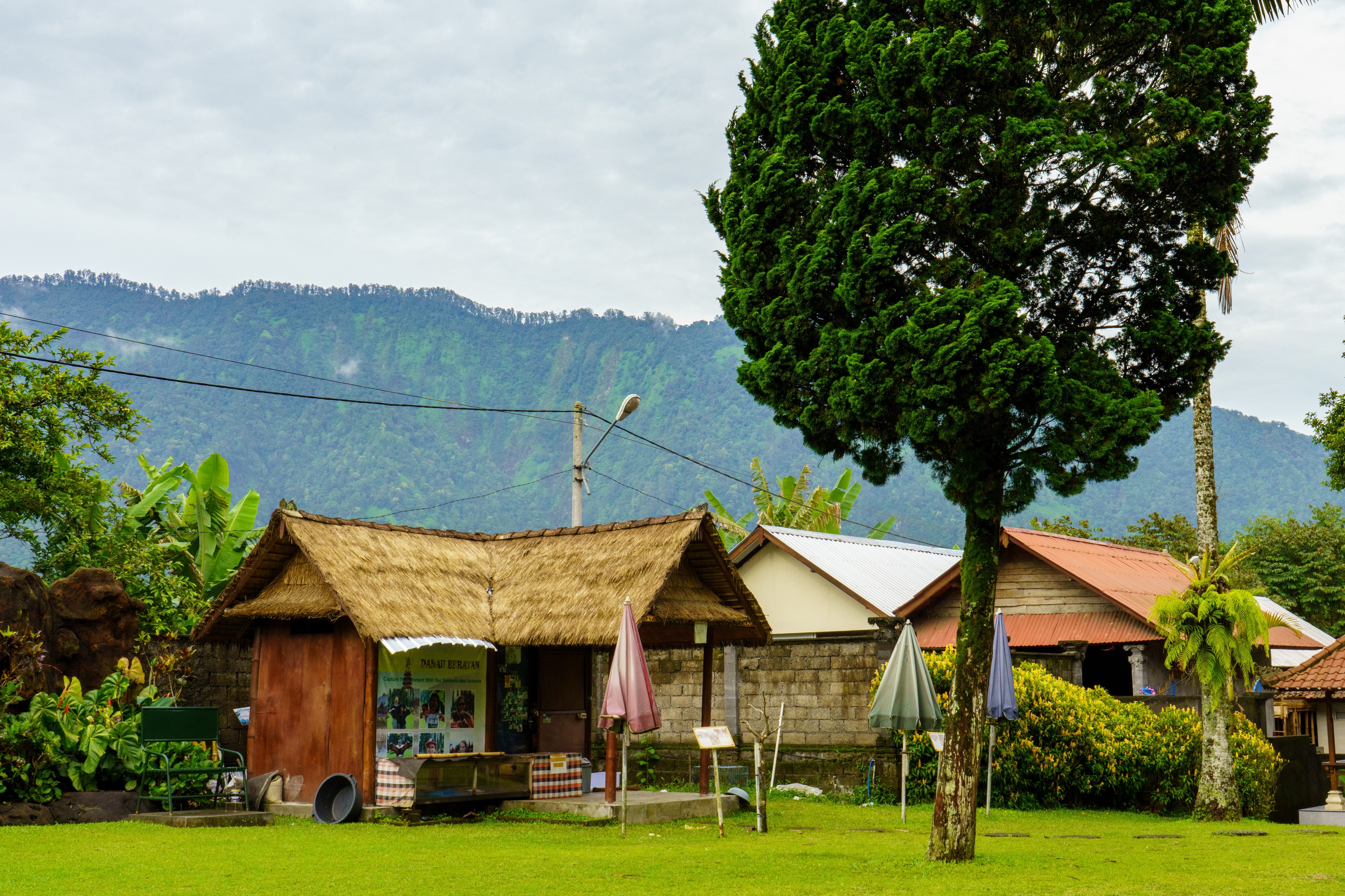 Ilustrasi sumber gambar (Unsplash/Mahmud Ahsan)