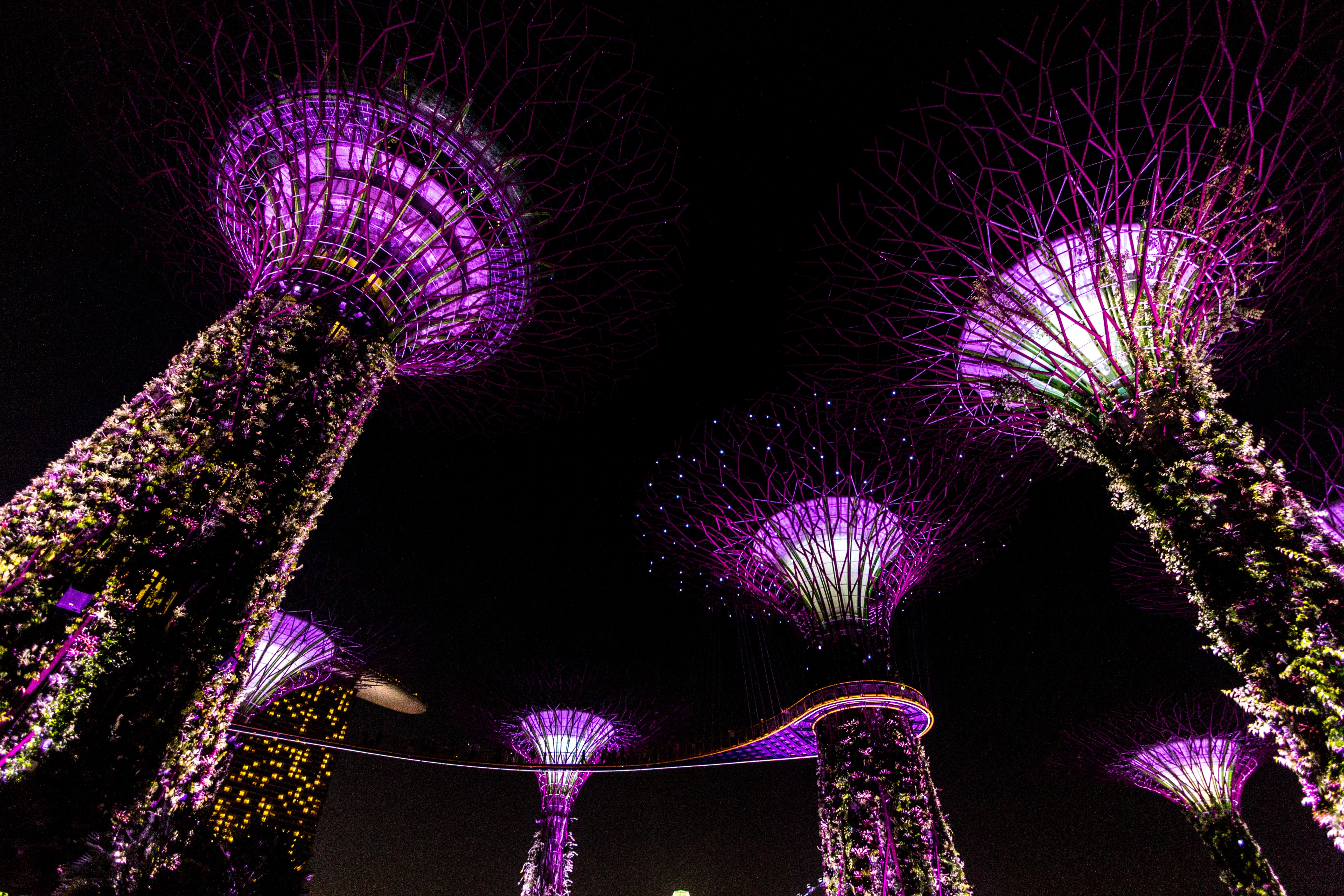 Gardens by the Bay (Sumber gambar: Unsplash/Michael lammli)