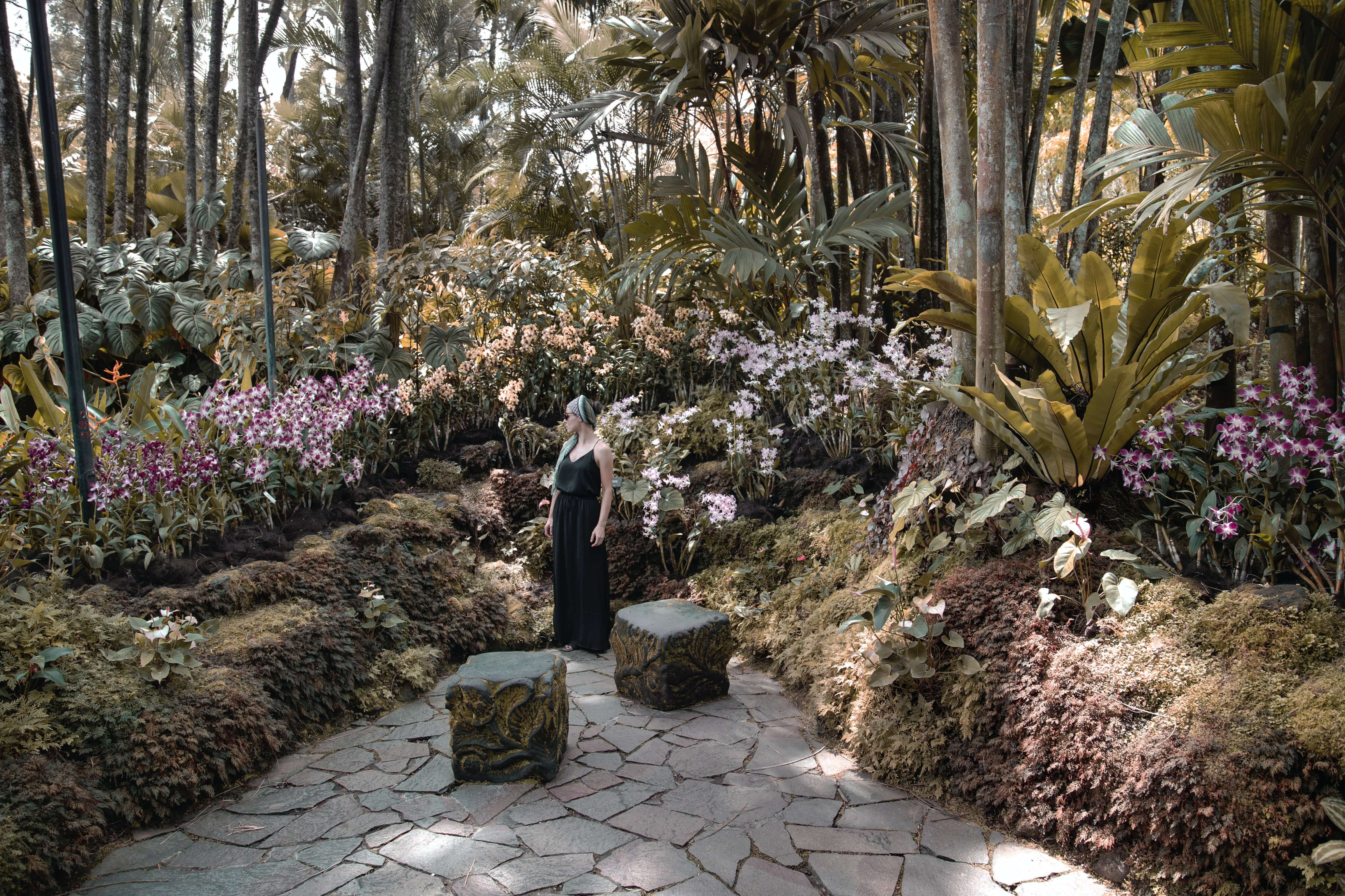 Botanical Gardens (Sumber gambar: Unsplash/Milada Vigerova)