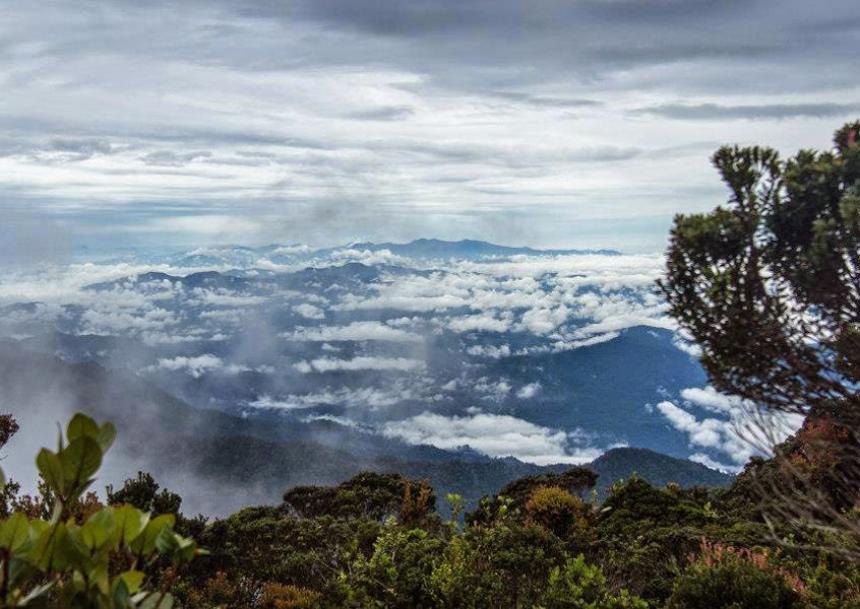 Ilustrasi Gunung Bukit Raya (sumber gambar: Pariwsata Kalteng)