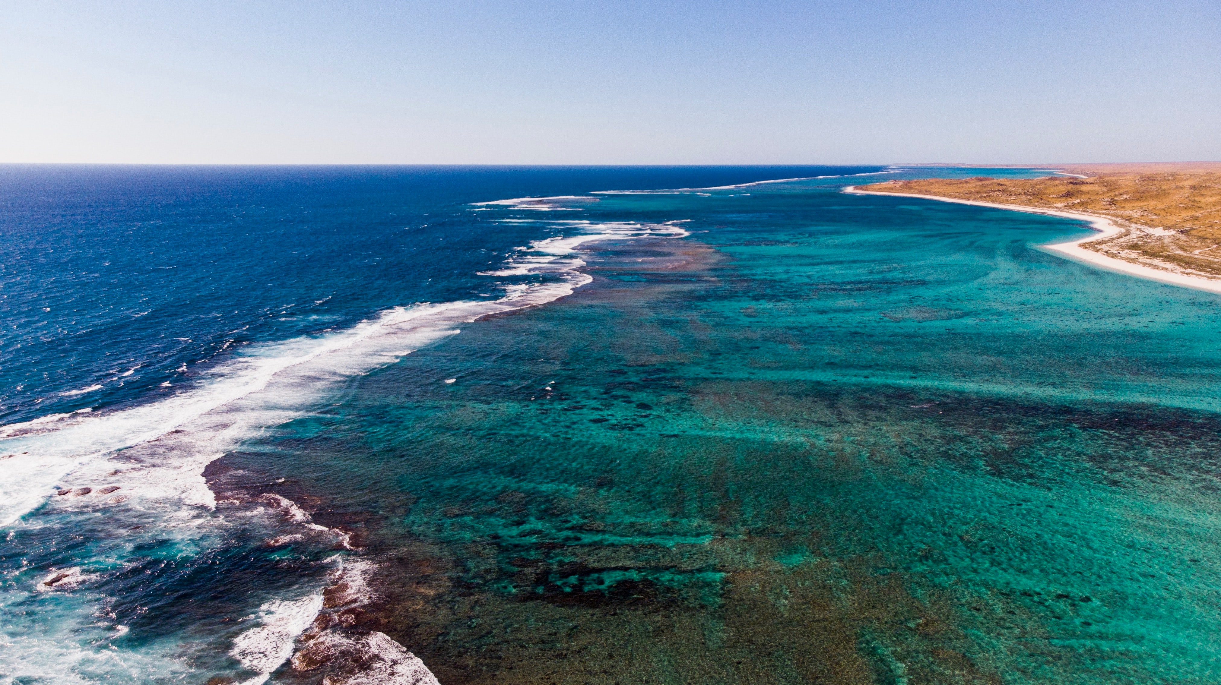 Ilustrasi Ningaloo Reef (sumber gambar Unsplash/Ben Carless)