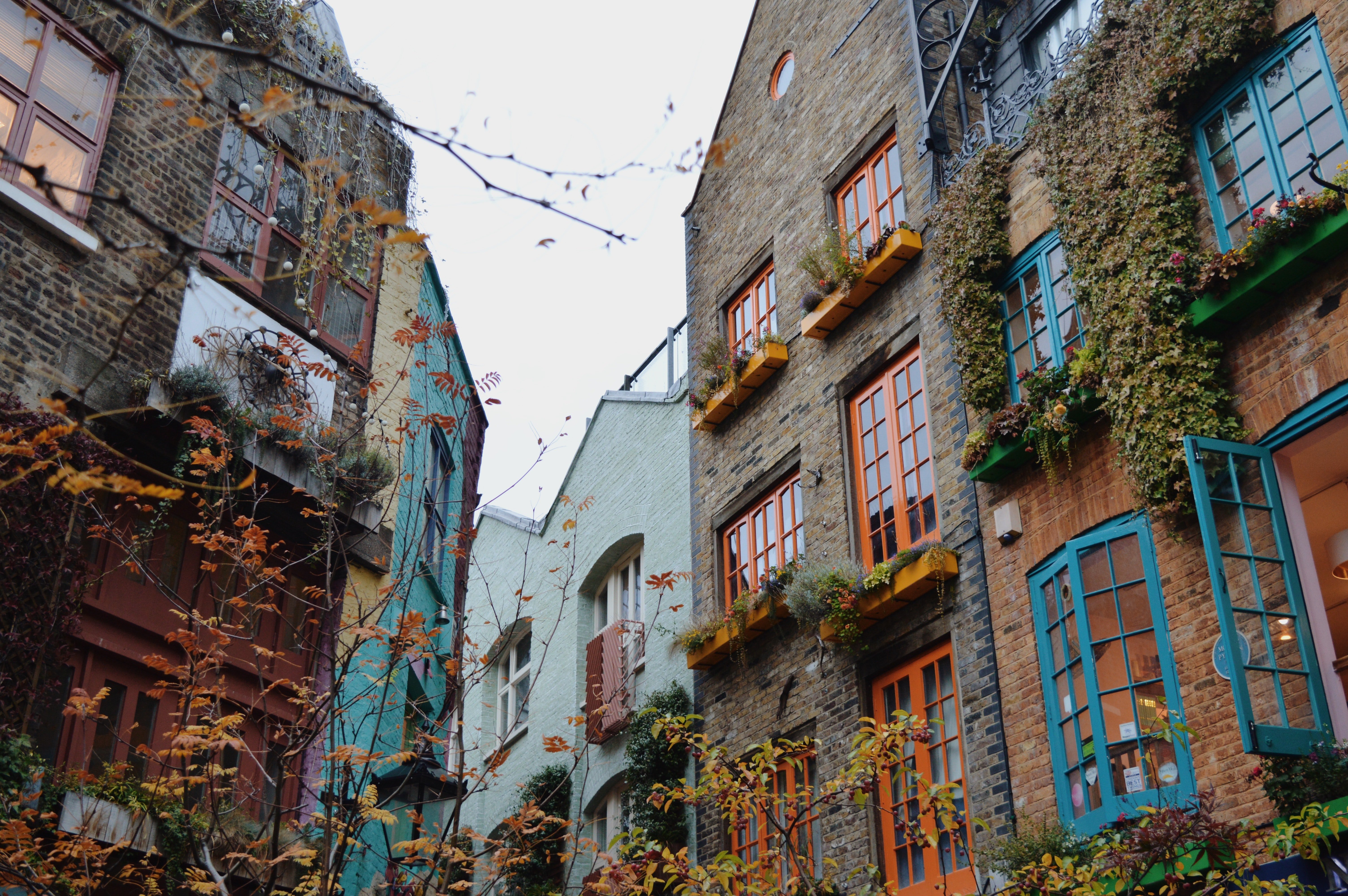Neal's Yard (Sumber gambar: Unsplash/Konstantina)