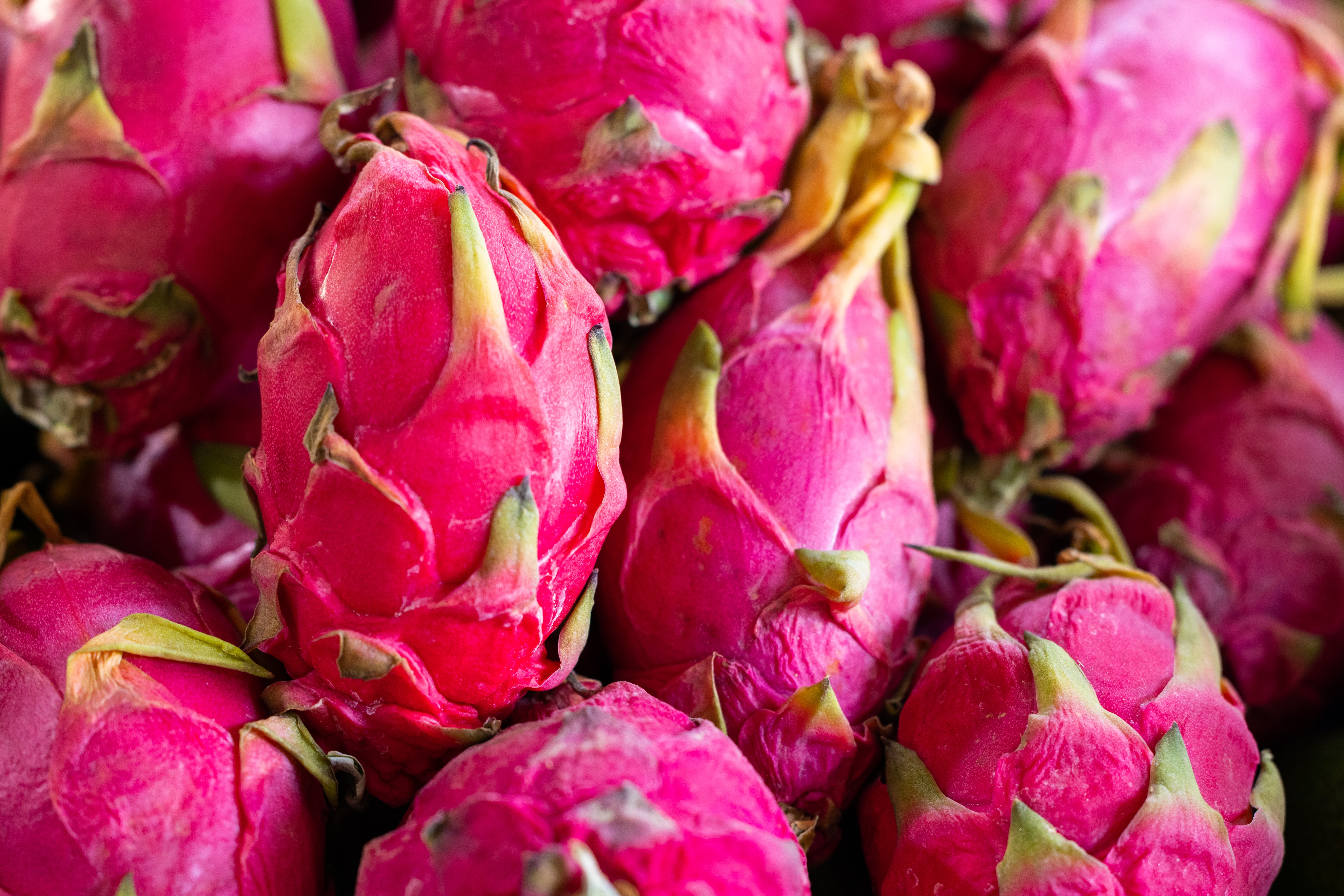 Buah naga (Sumber gambar: Engin Akyurt/Unsplash)