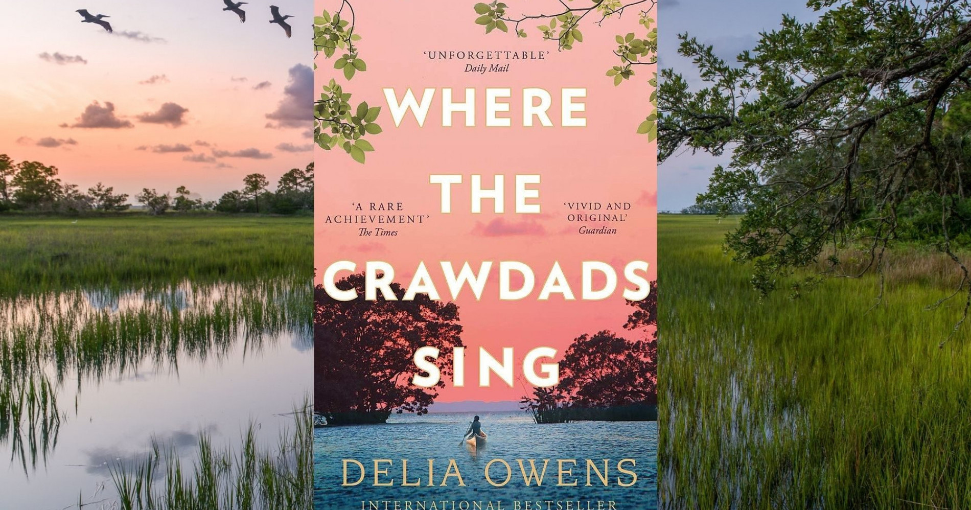 Novel Where the Crowdad Sing (sumber gambar Finder.com)
