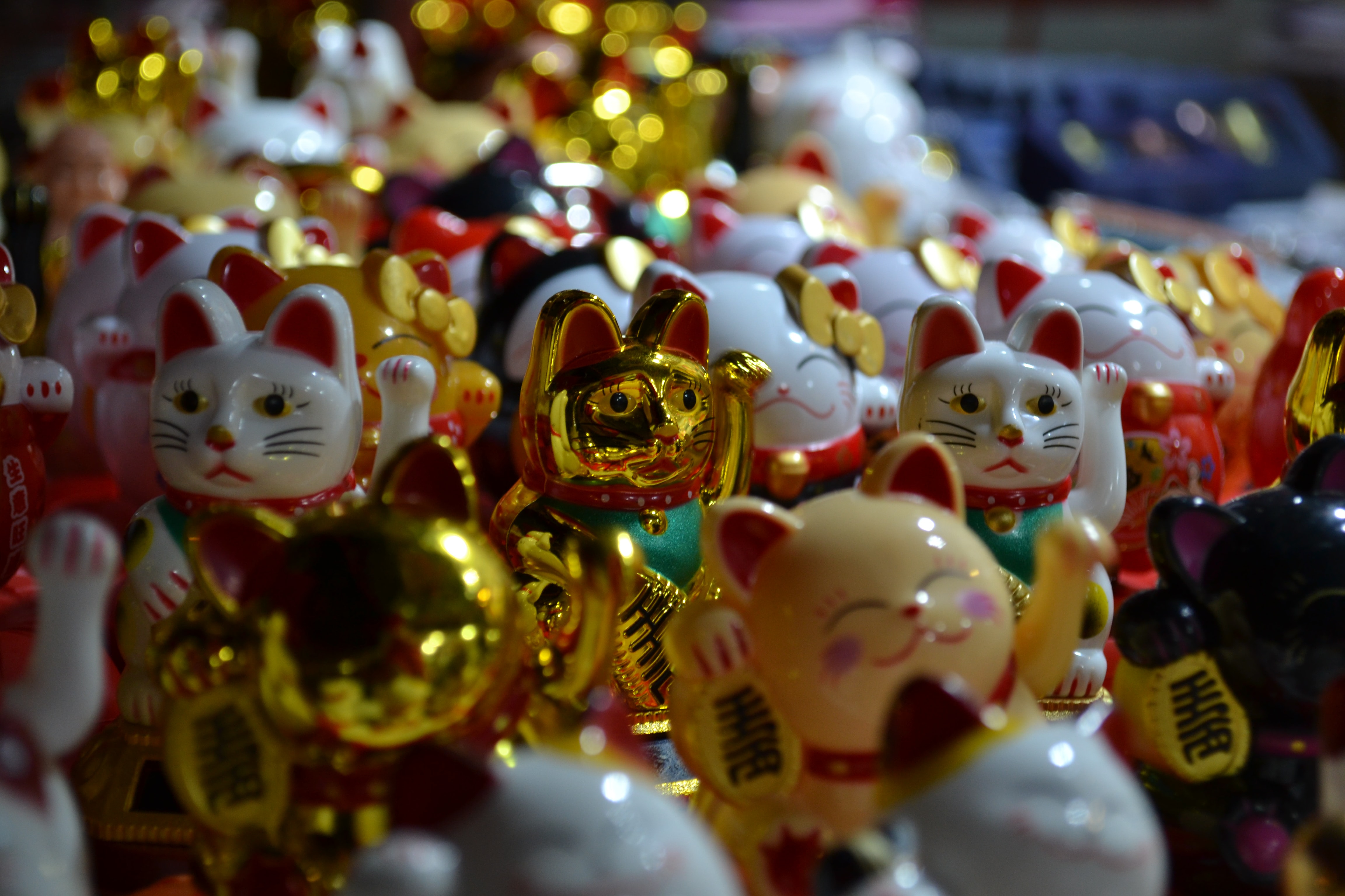 Maneki Neko (sumber gambar Unsplash/Katharine Crompton)