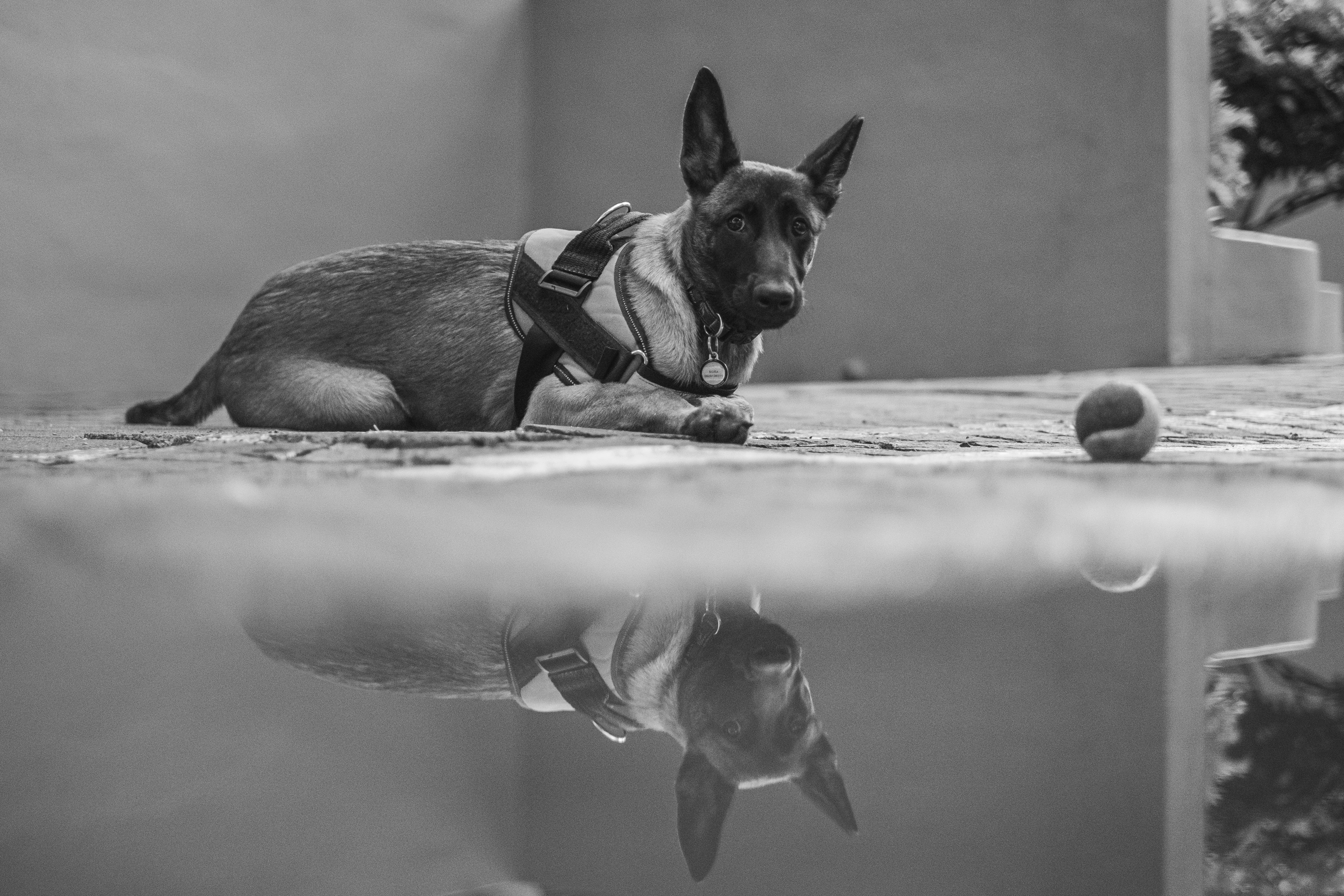 (Sumber gambar: Unsplash/Gerri Van der Walt)