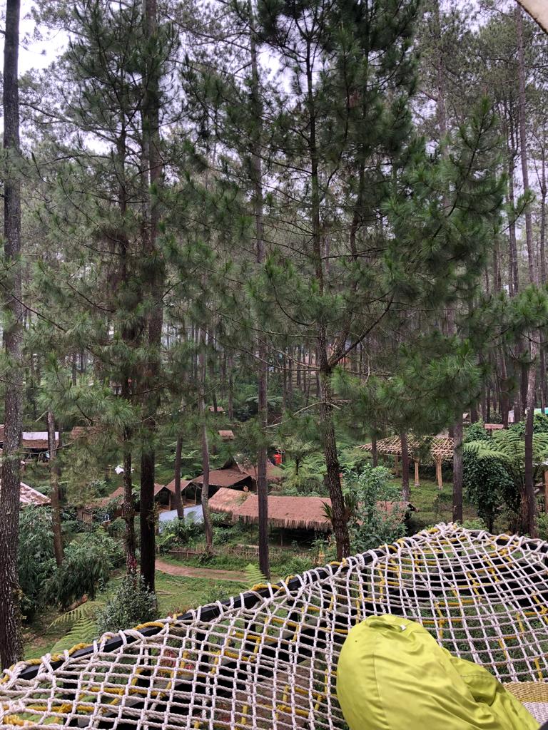 Limasegi Dipinus, Cikole, Lembang (Sumber gambar: Indah Permata Hati/Hypeabis.id)