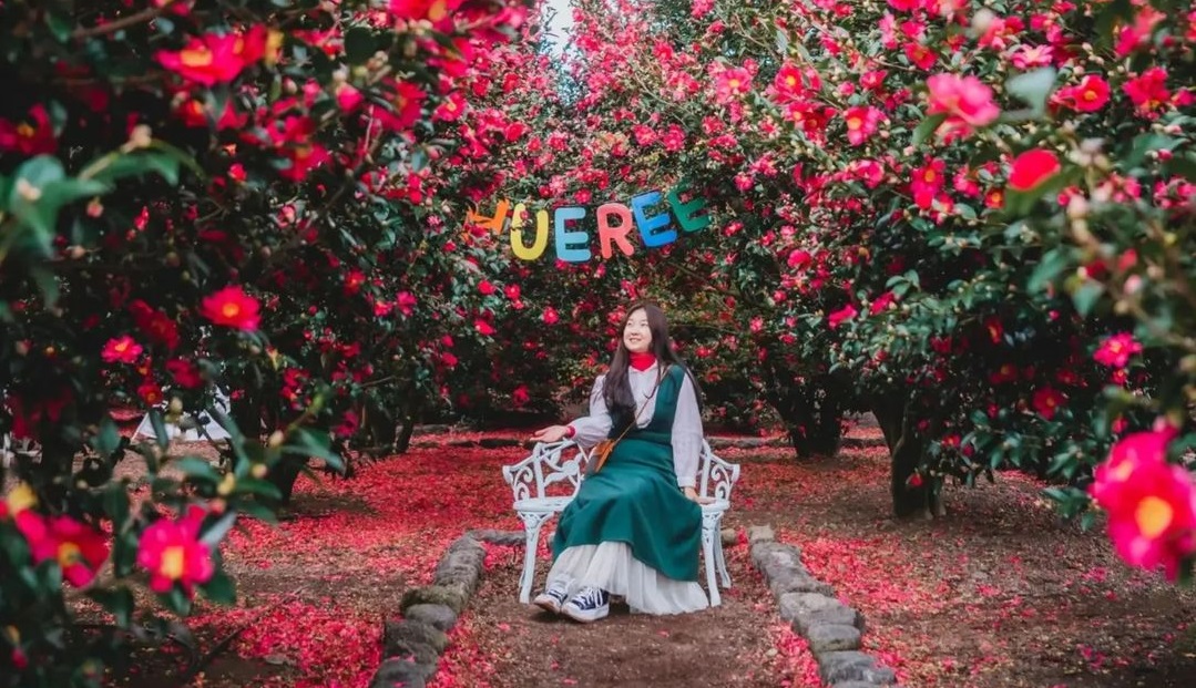 Huerre Hydrangea Summer Festival (Sumber gambar: hueree.com)