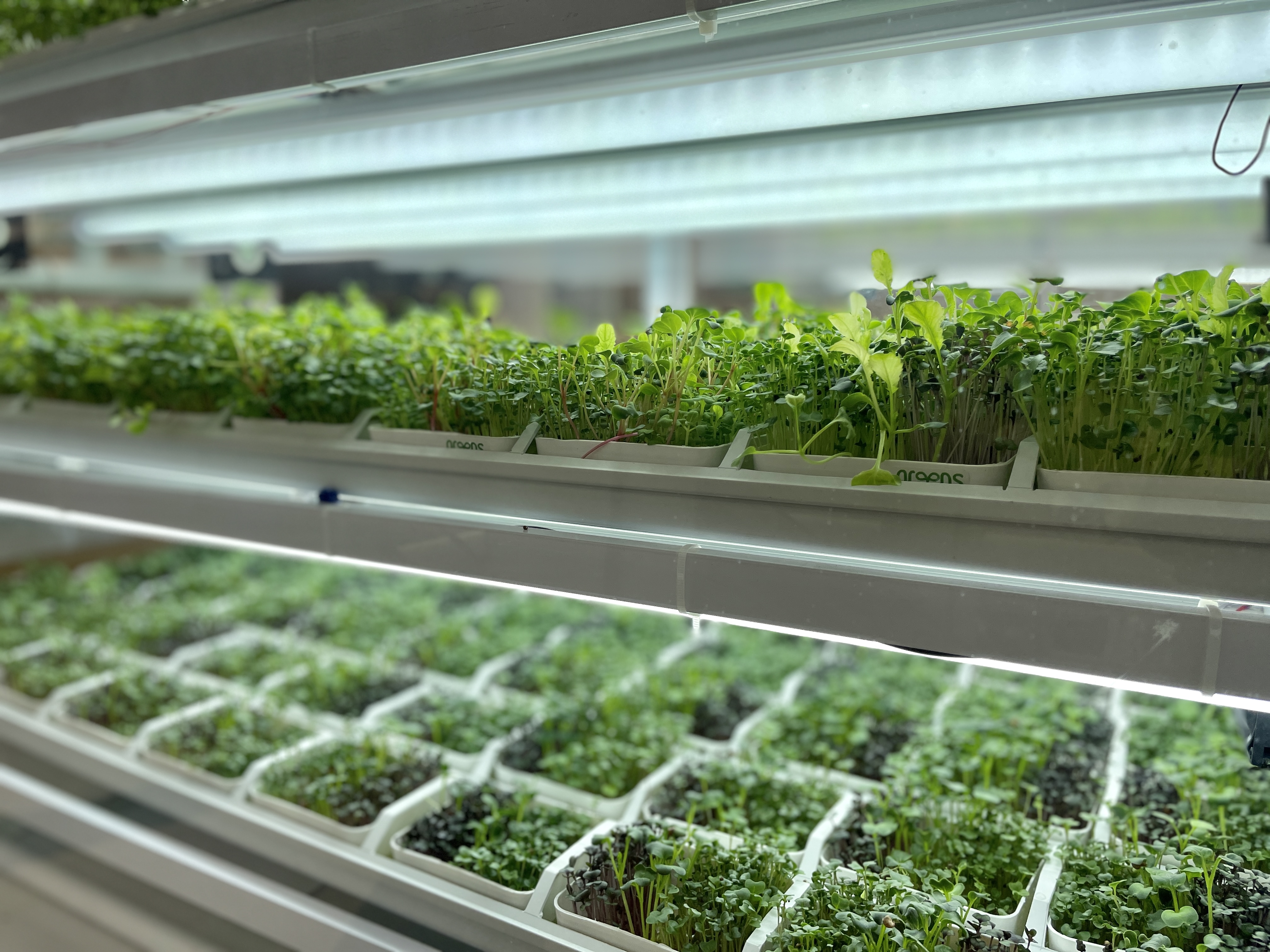 GREENS, Hyperlocal Metafarming Station (Sumber gambar: GREENS)
