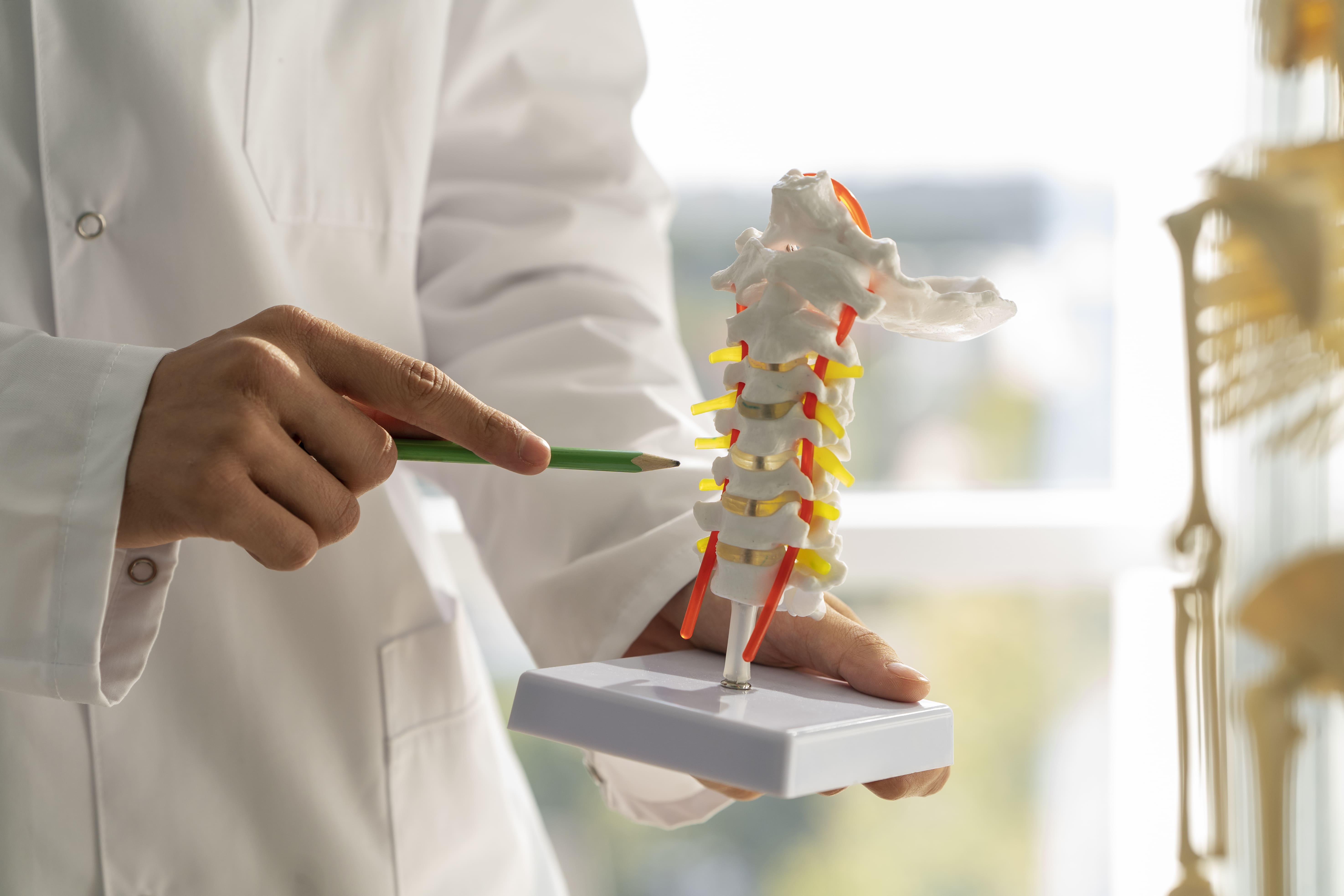 Ilustrasi osteoporosis (Sumber gambar: Freepik)