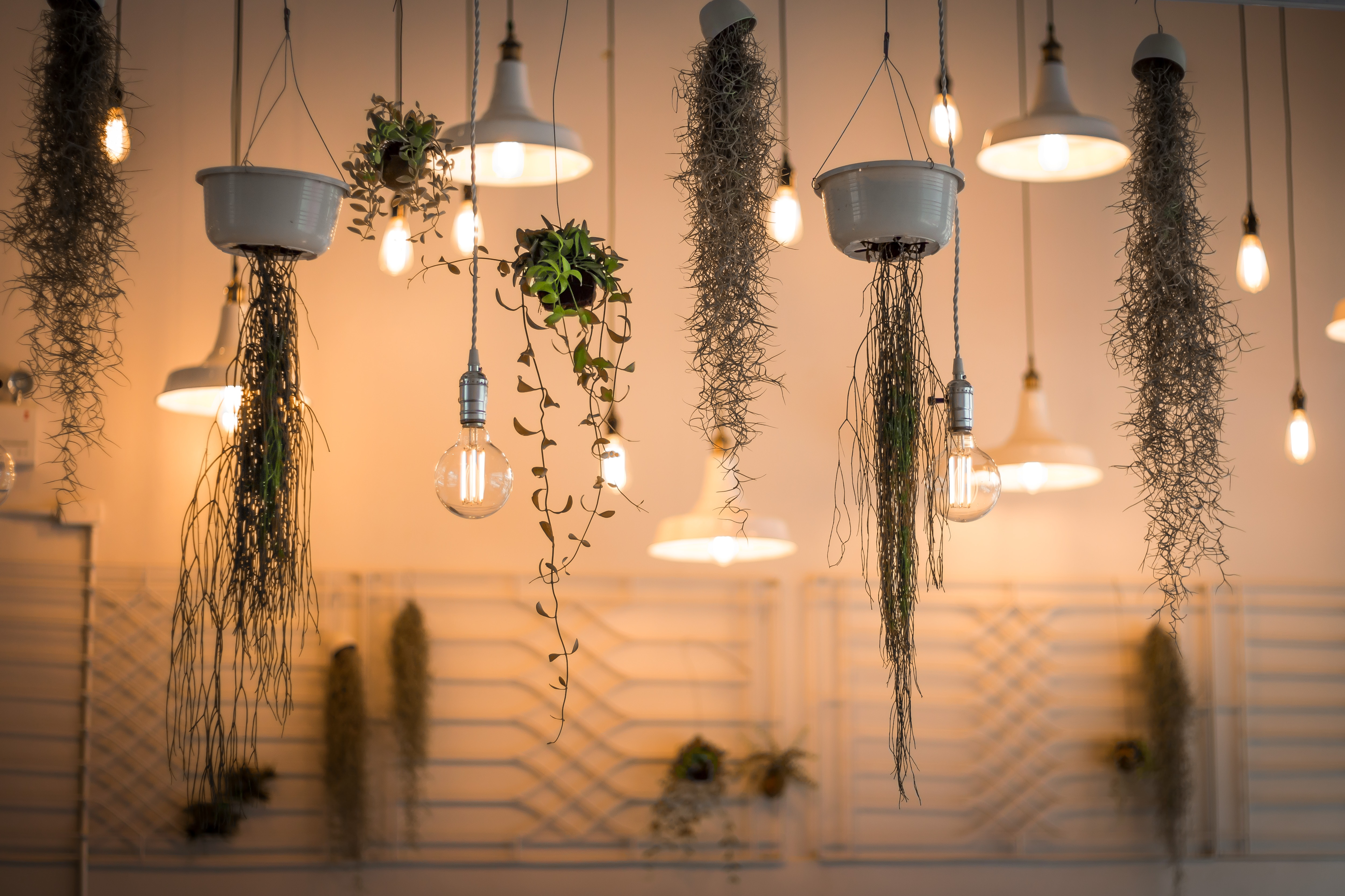 Lampu (Sumber: Unsplash/Patrick Schneider)