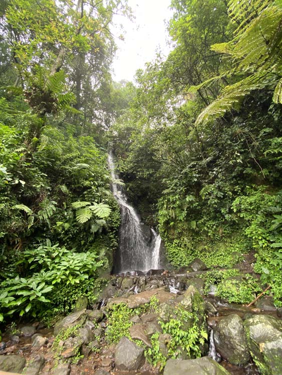 Air Terjun Cibogo (website/kebunraya.id)