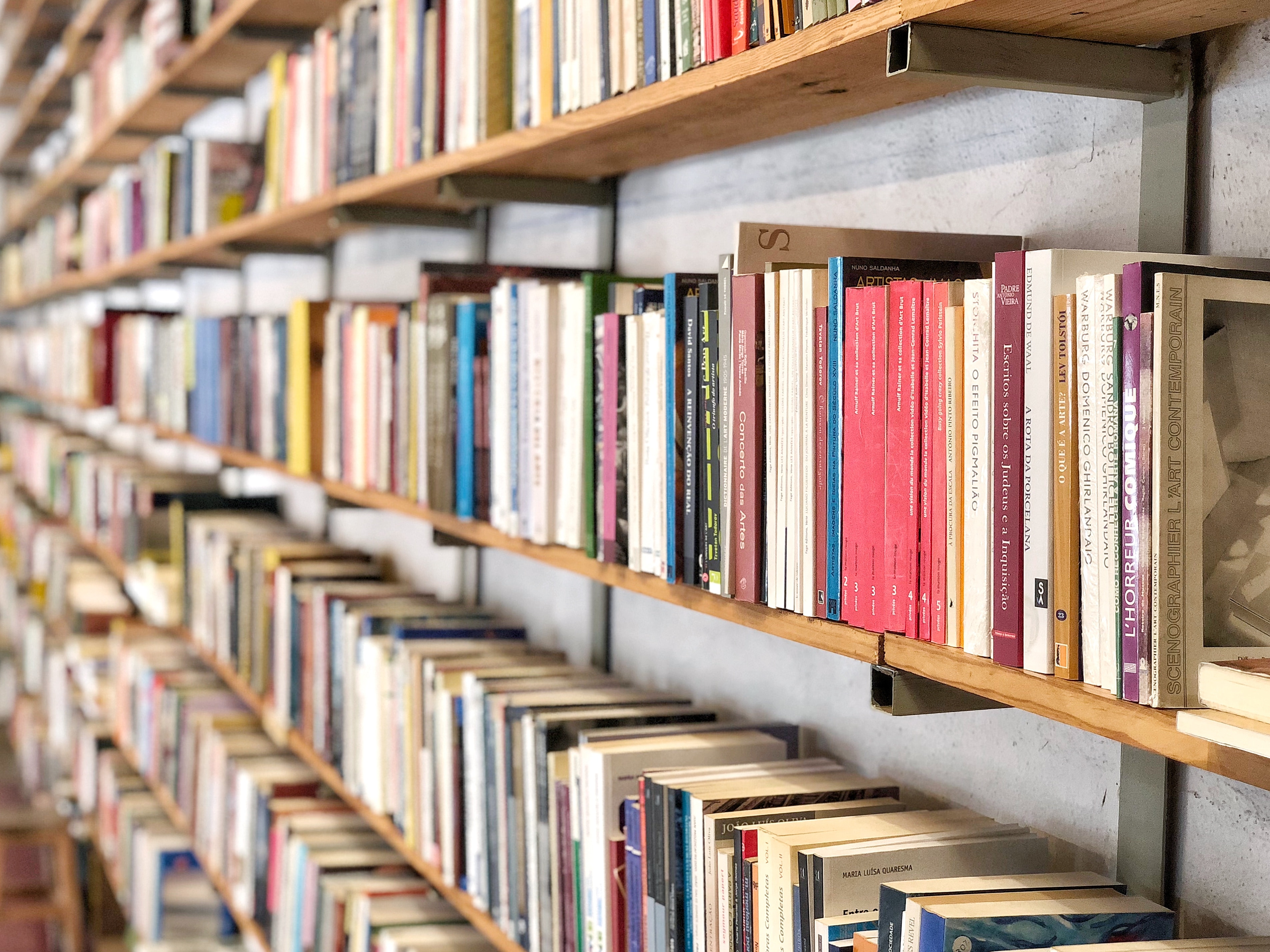 Ilustrasi toko buku (Sumber gambar: Alexander Wende/Unsplash)