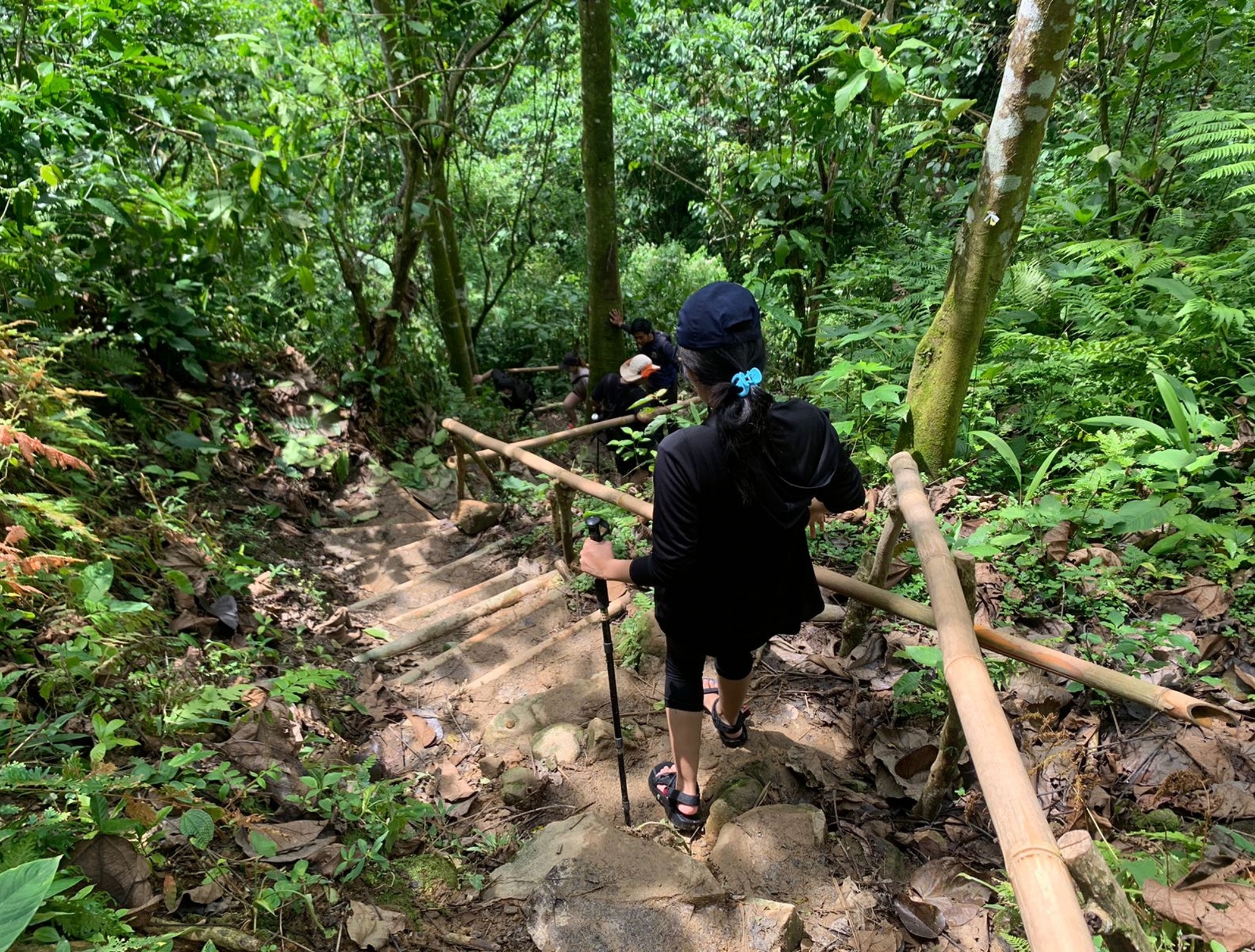 Seseorang sedang trekking di kawasan Sentul, Bogor. (Sumber gambar: Hypeabis.id/Luke Andaresta)